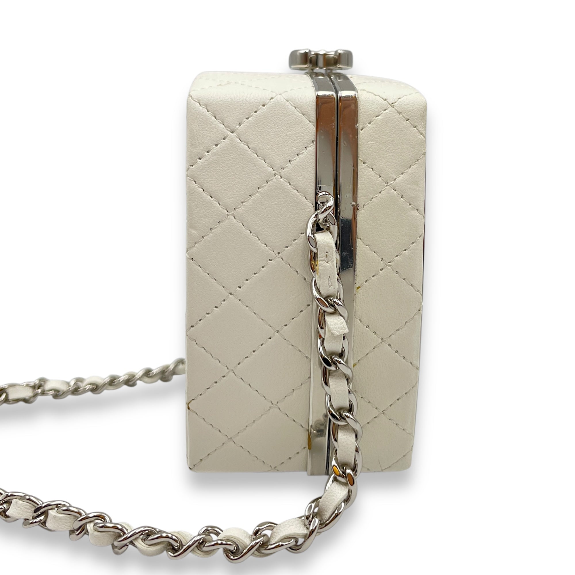 Plexiglass Beauty Box Silver Hardware Vanity Bag in Goat Leather