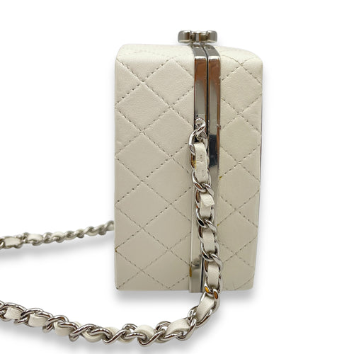 Plexiglass Beauty Box Silver Hardware Vanity Bag in Goat Leather