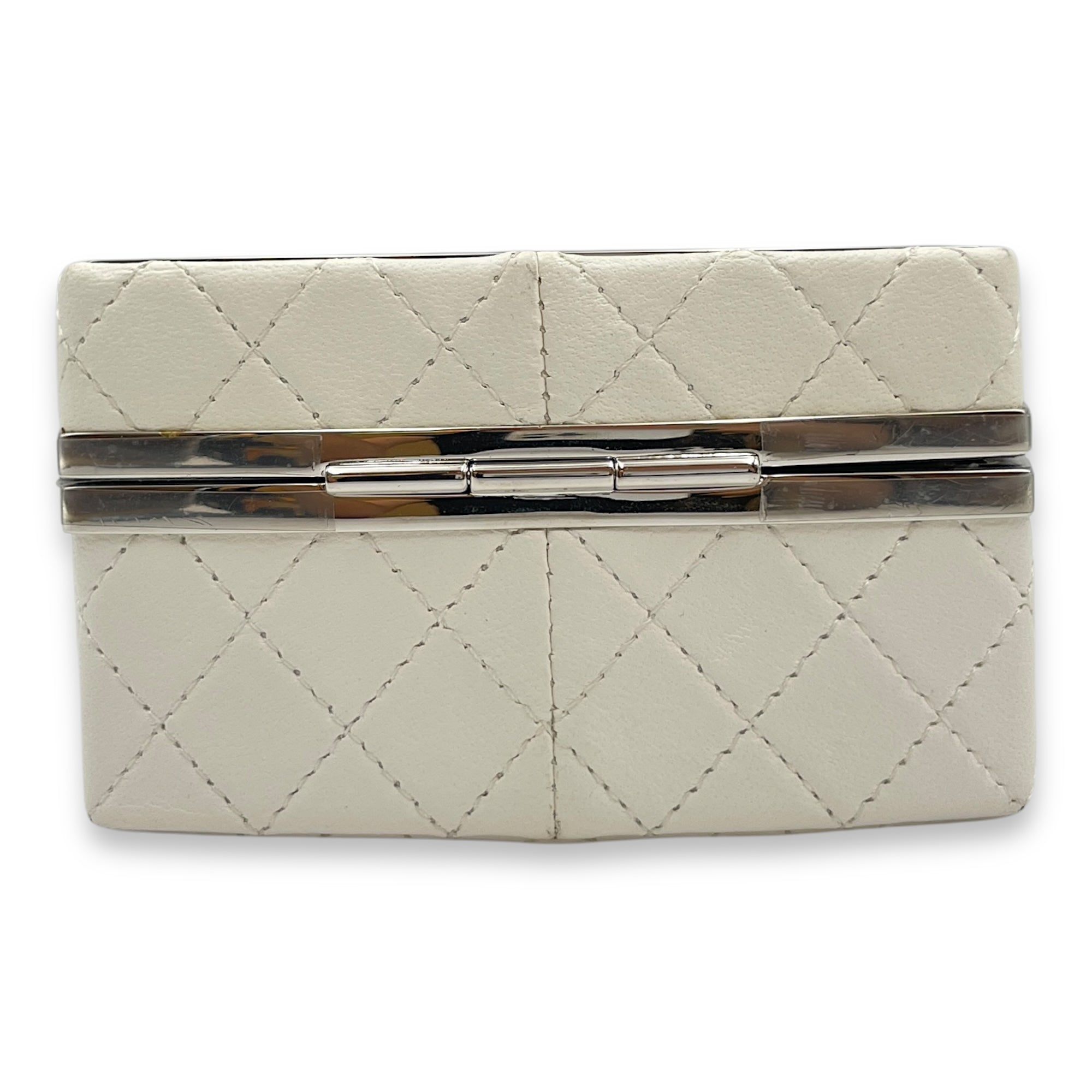 Plexiglass Beauty Box Silver Hardware Vanity Bag in Goat Leather