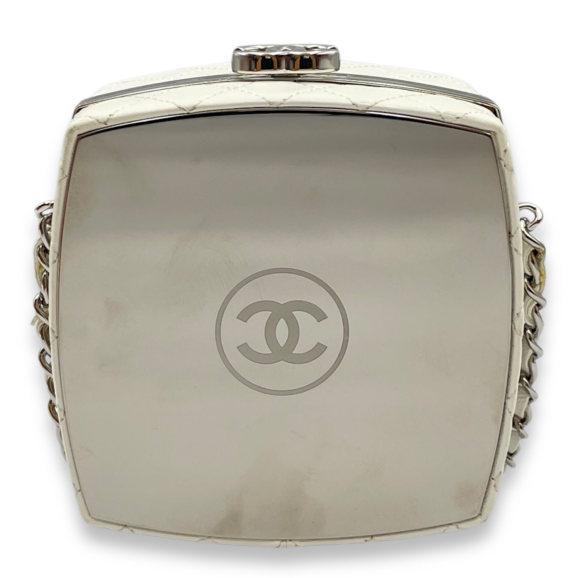 Plexiglass Beauty Box Silver Hardware Vanity Bag in Goat Leather
