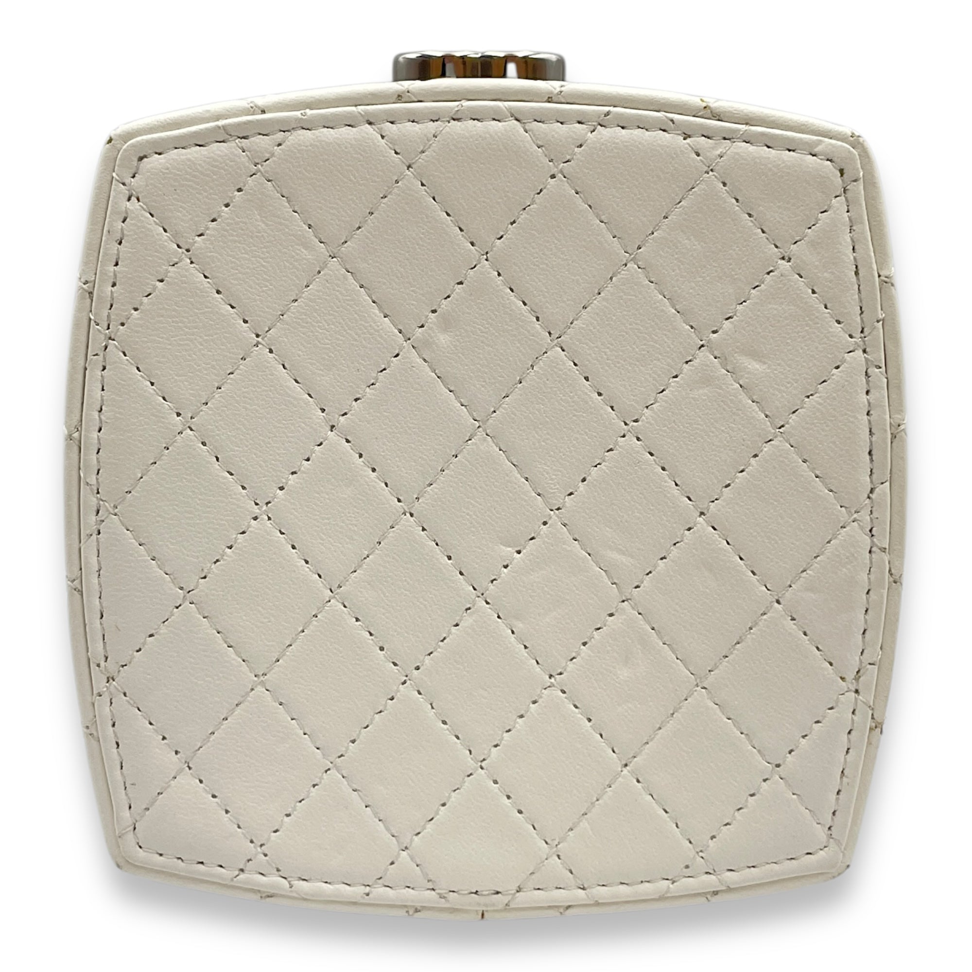 Plexiglass Beauty Box  Silver Hardware  Vanity Bag in Goat Leather CL2509-15462 2