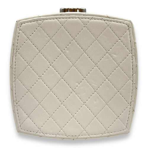 Plexiglass Beauty Box Silver Hardware Vanity Bag in Goat Leather
