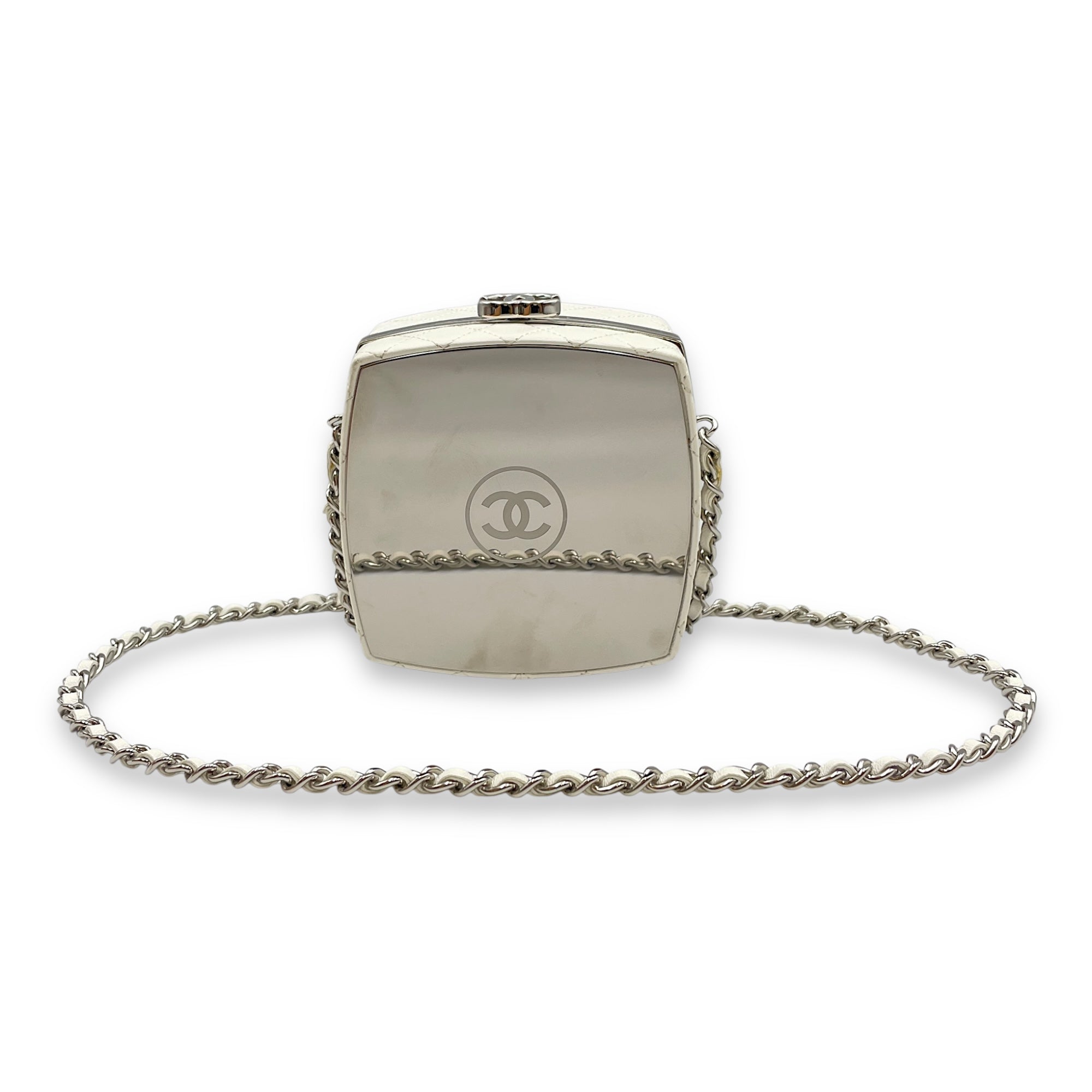 Plexiglass Beauty Box Silver Hardware Vanity Bag in Goat Leather