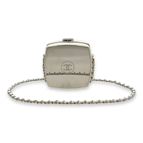 Plexiglass Beauty Box Silver Hardware Vanity Bag in Goat Leather