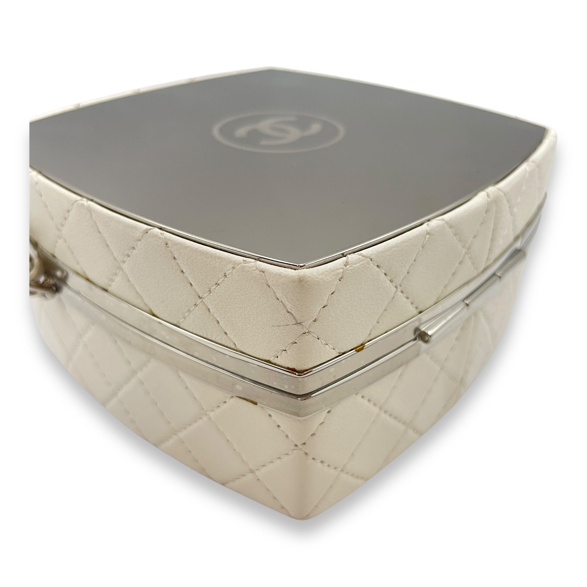 Plexiglass Beauty Box Silver Hardware Vanity Bag in Goat Leather