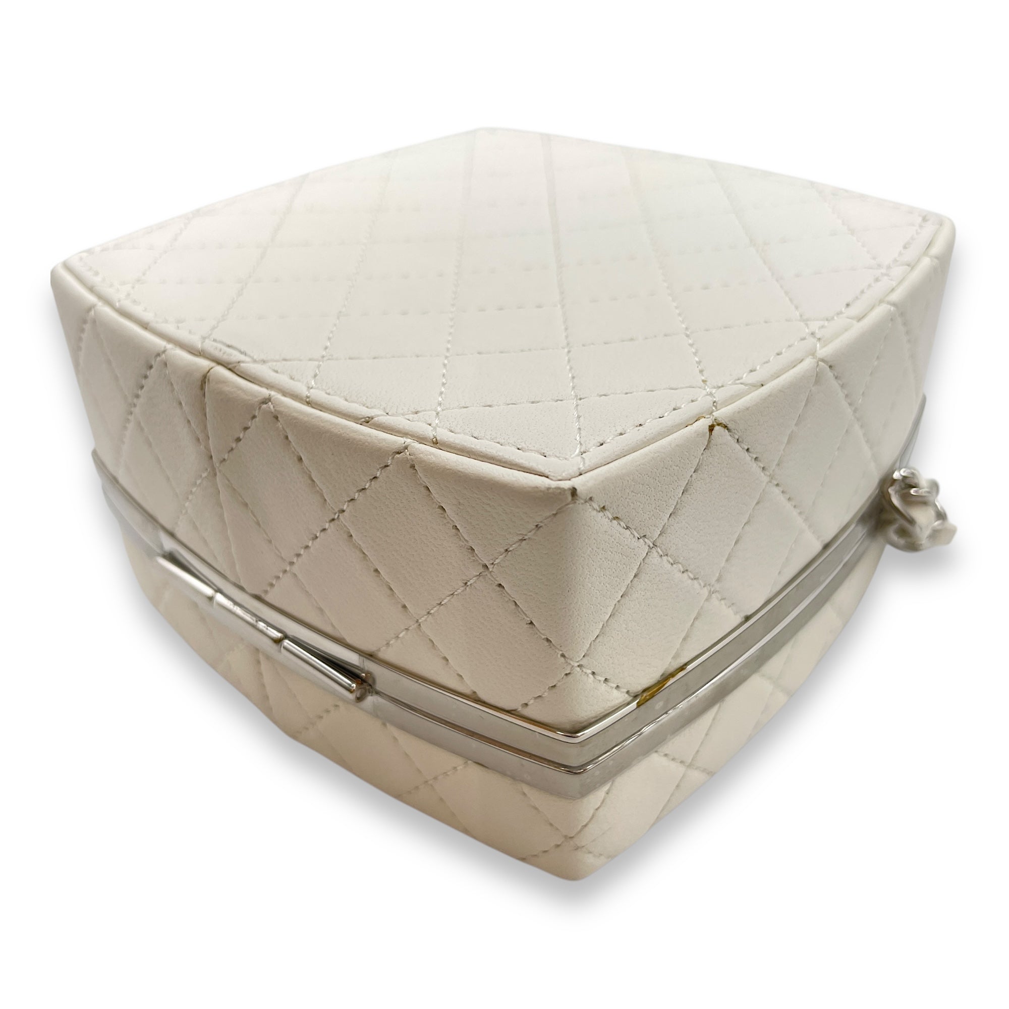Plexiglass Beauty Box Silver Hardware Vanity Bag in Goat Leather
