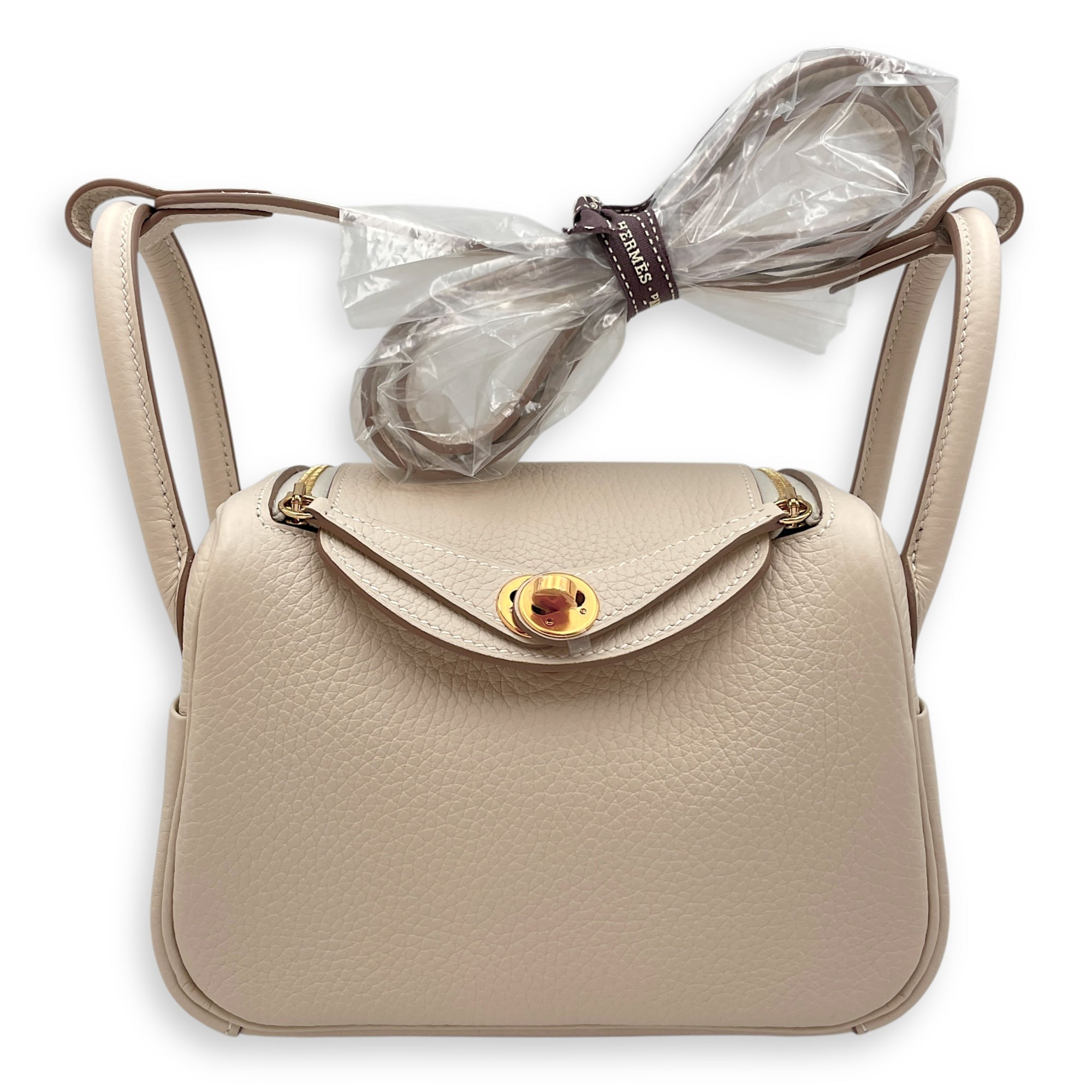 Lindy II Mini Craie in Clemence, Gold hardware