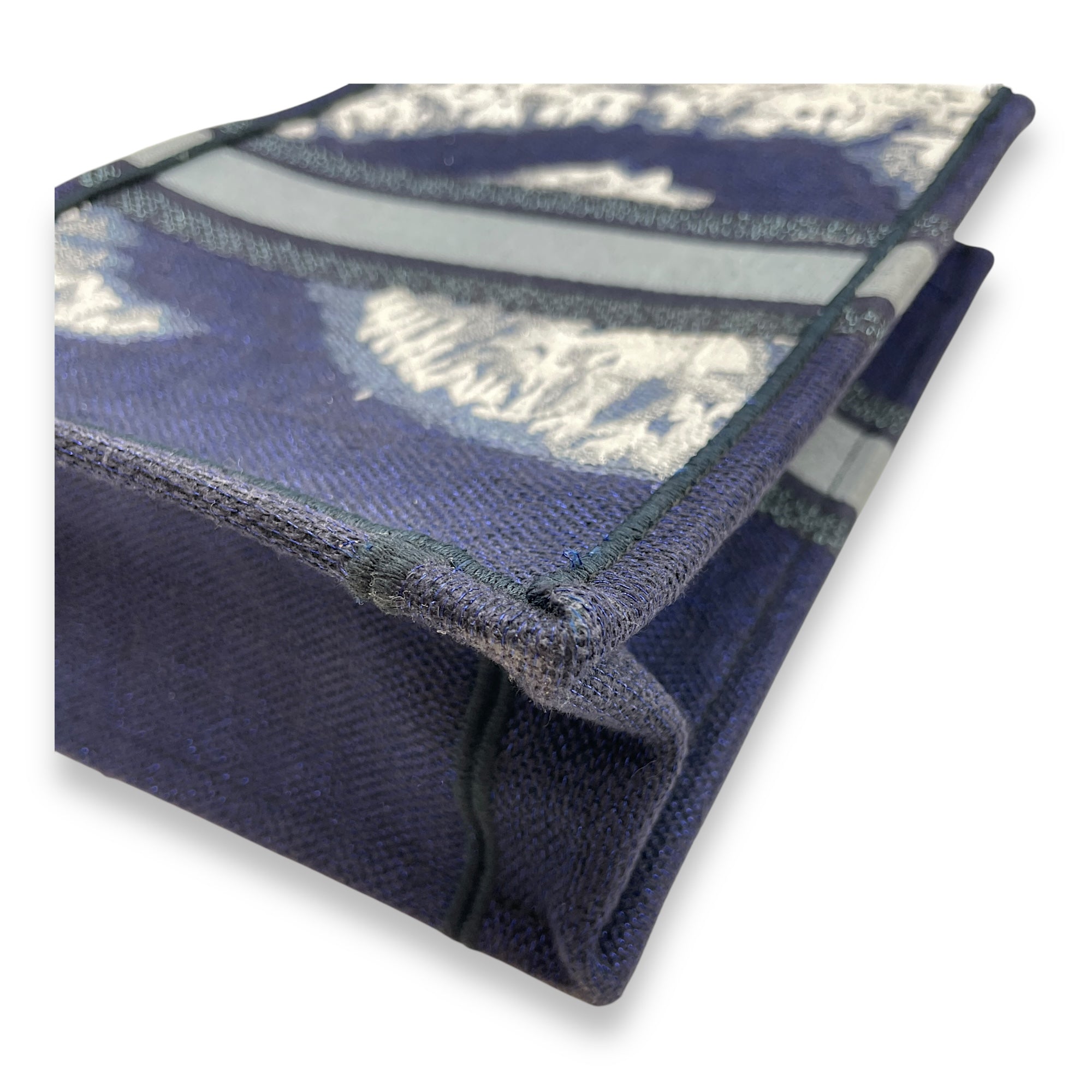 Vertical Blue Book Tote in Canvas