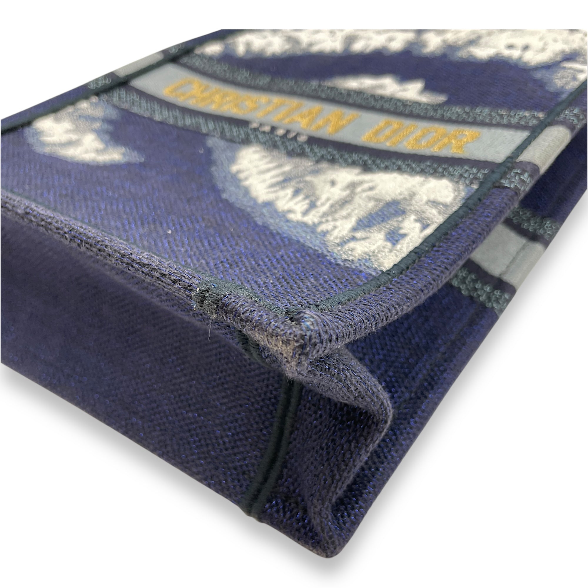 Vertical Blue Book Tote in Canvas
