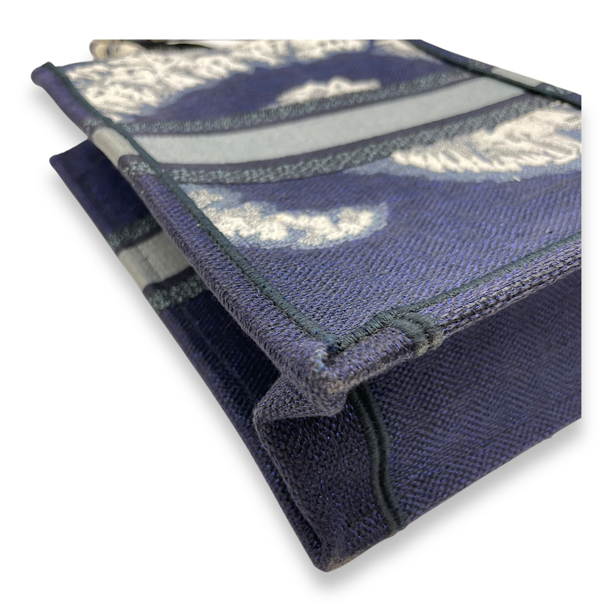 Vertical Blue Book Tote in Canvas