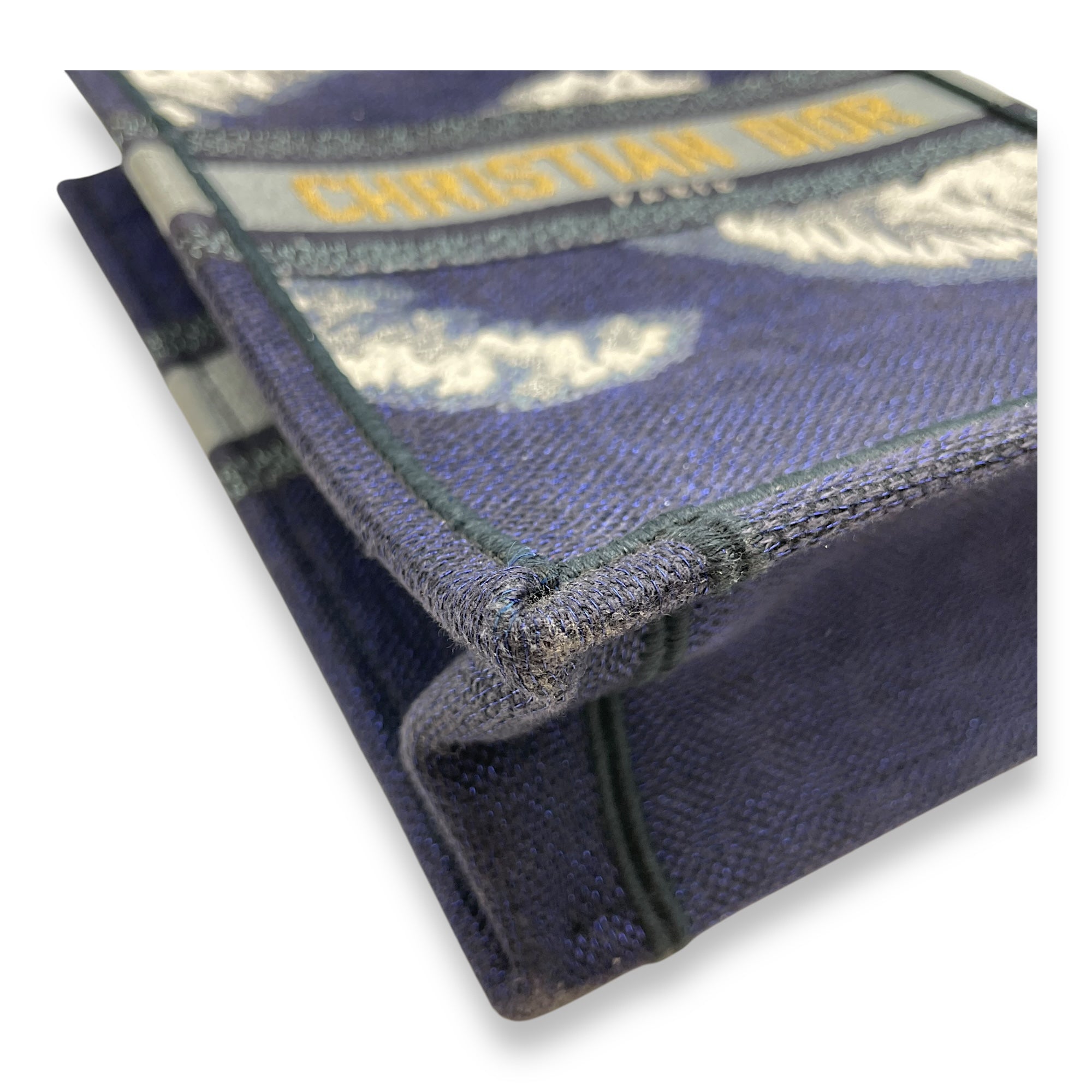 Vertical Blue Book Tote in Canvas