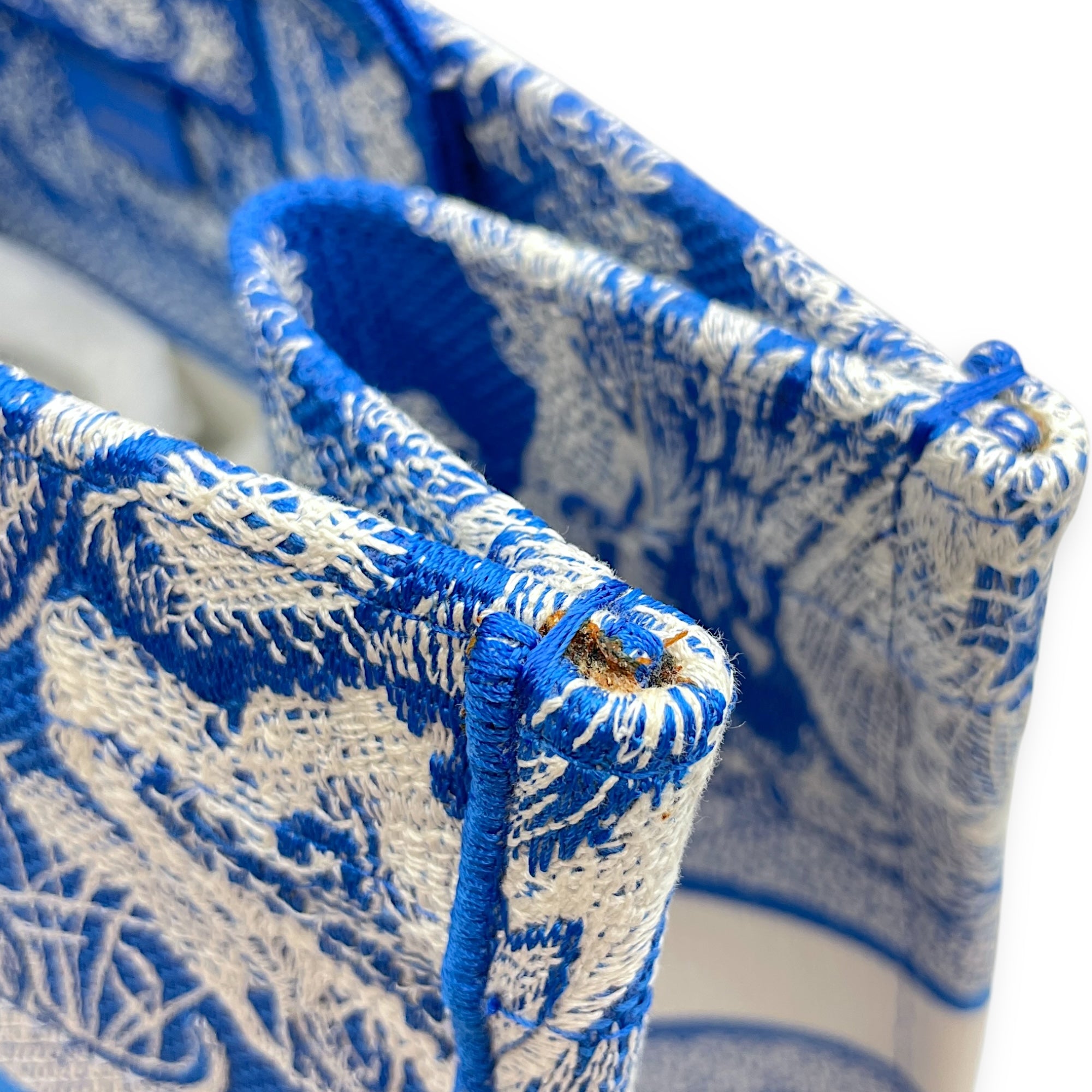 Dior Medium Blue Book Tote in Canvas