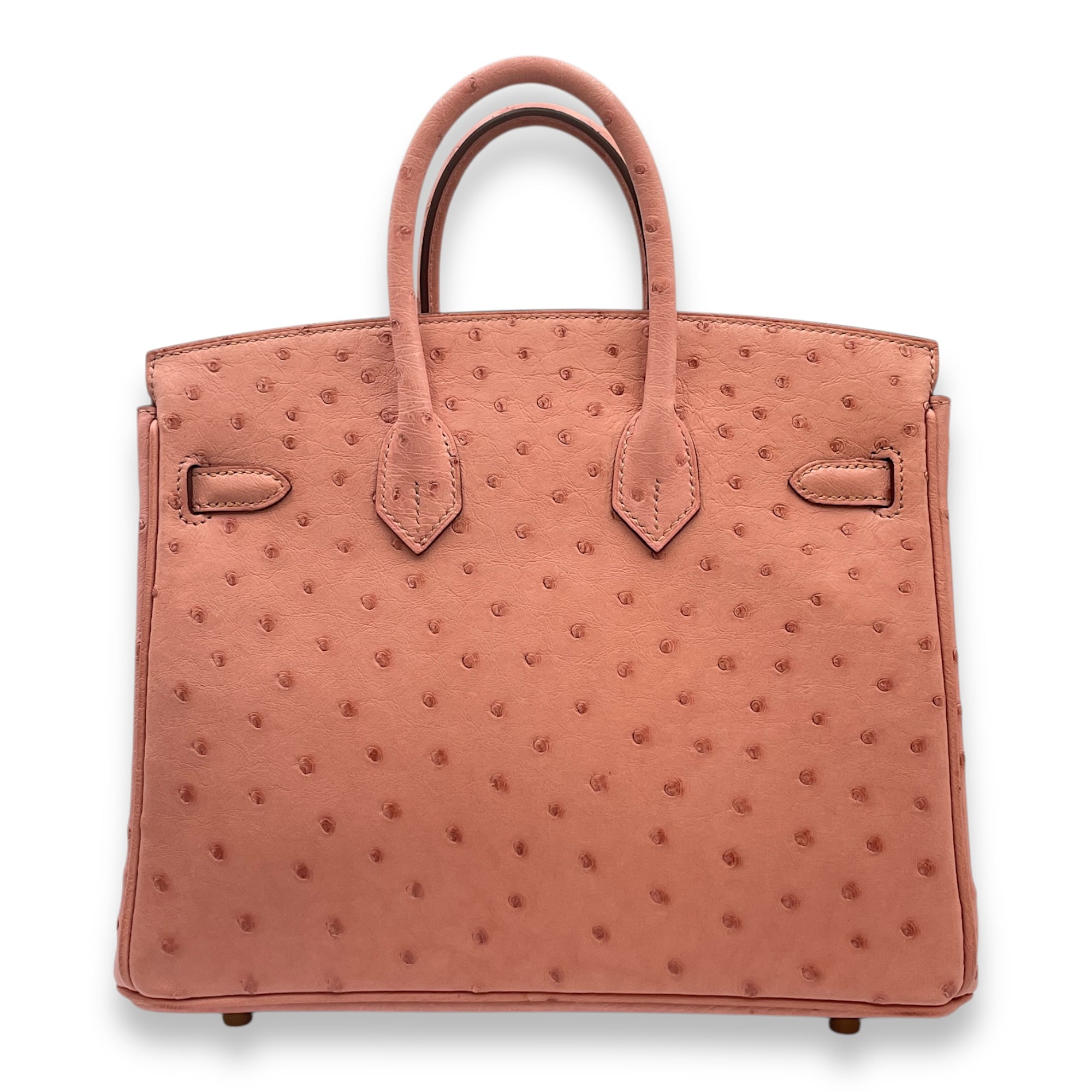 Birkin 25 Terre Cuite in Ostrich, Gold hardware