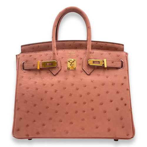 Birkin 25 Terre Cuite in Ostrich, Gold hardware