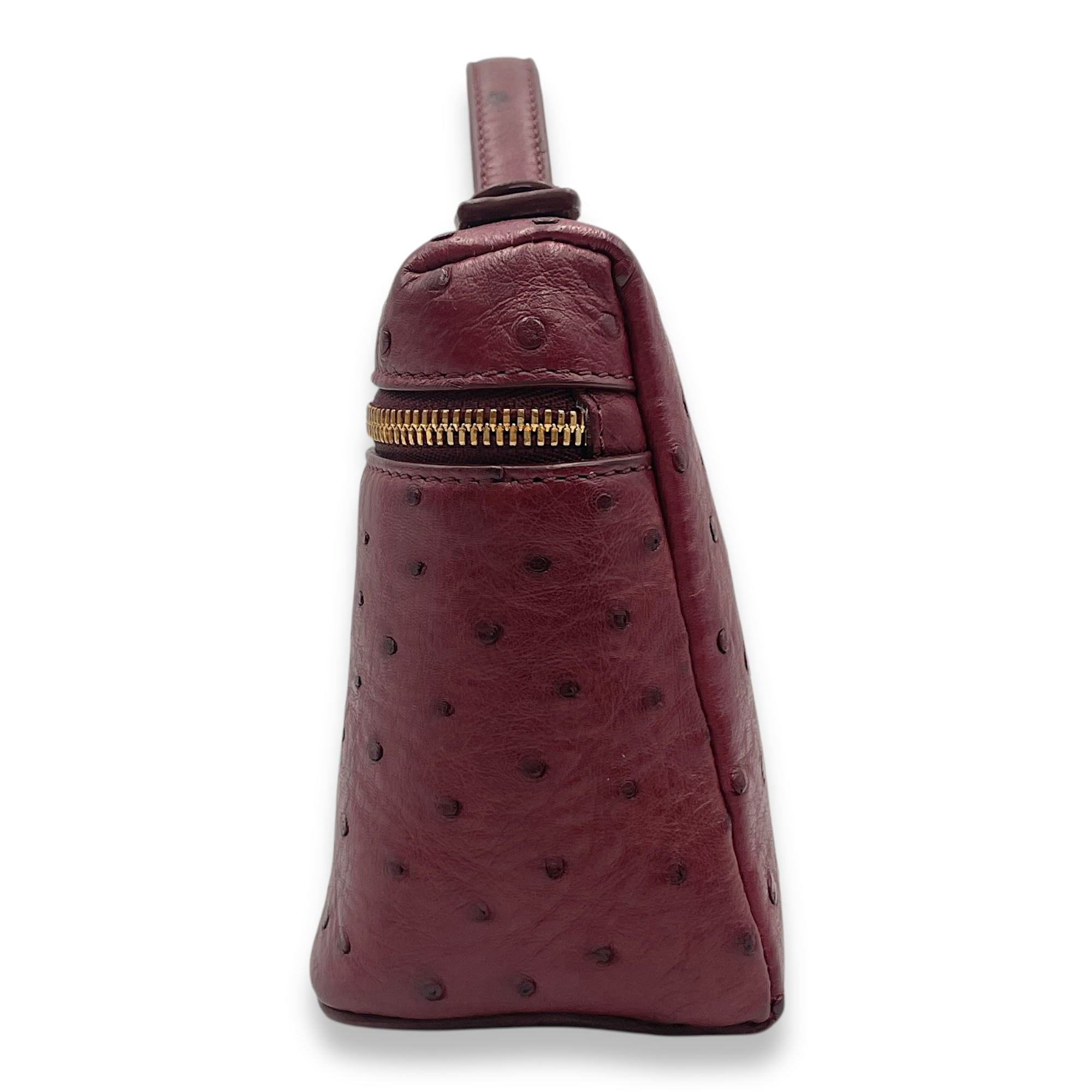 Extra Pocket 19 Burgundy Top Handle Bag in Ostrich, Gold hardware