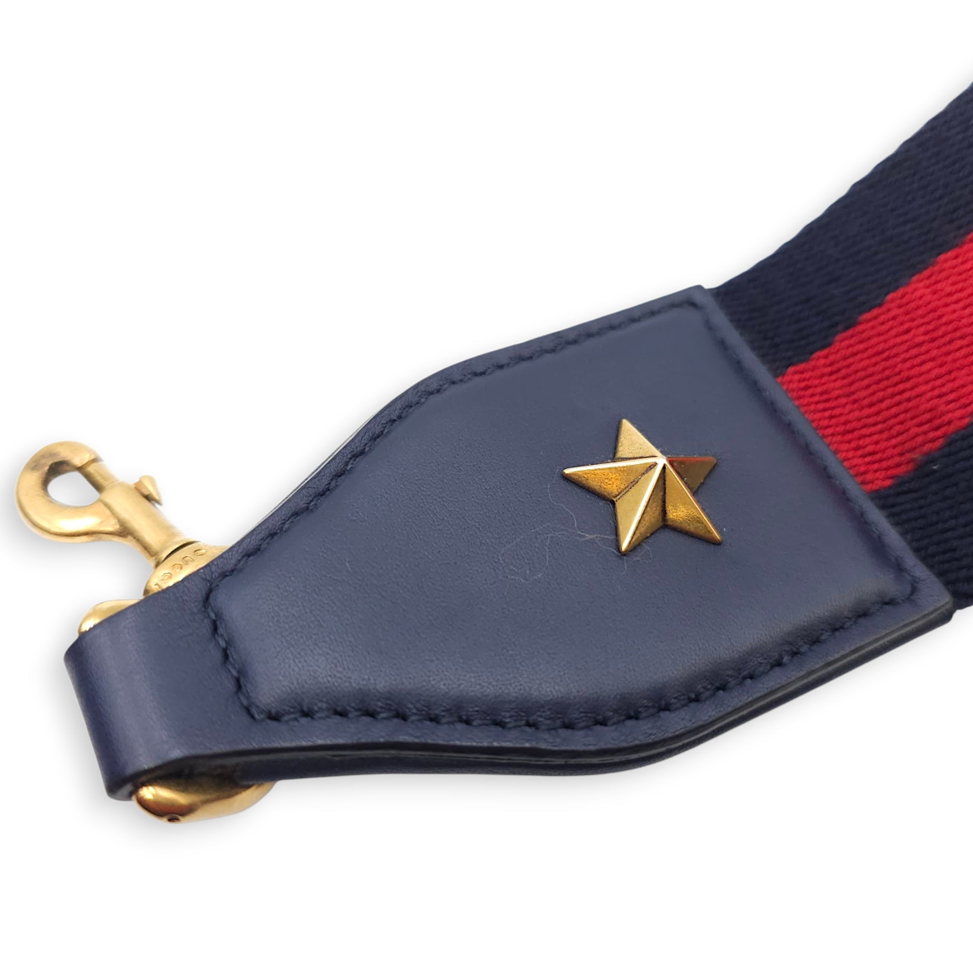 Moon Dionysus Bamboo Web Medium Multi-colour Shoulder Bag in Calfskin, Gold hardware