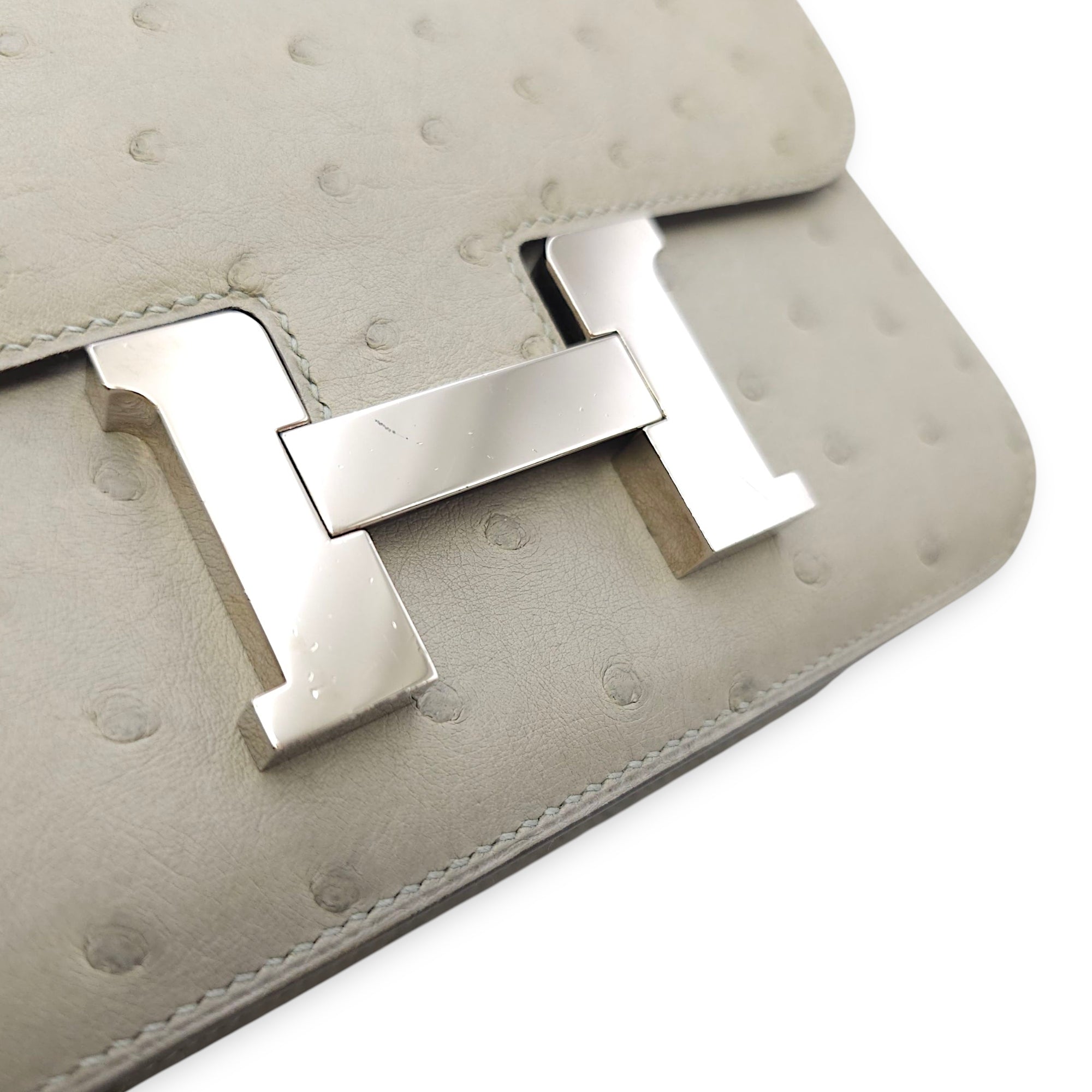 Constance 18 Blue Glacier in Ostrich, Palladium hardware