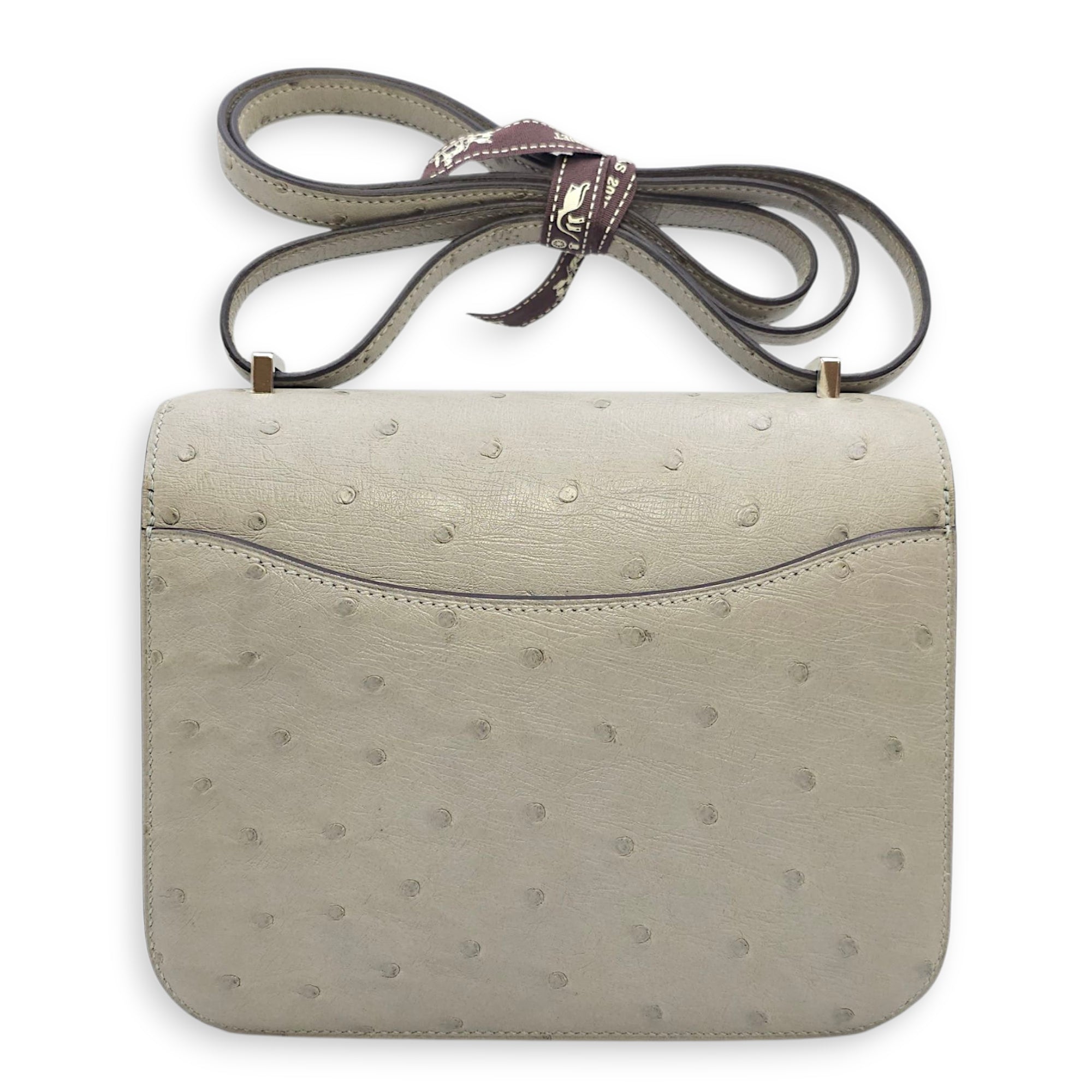 Constance 18 Blue Glacier in Ostrich, Palladium hardware