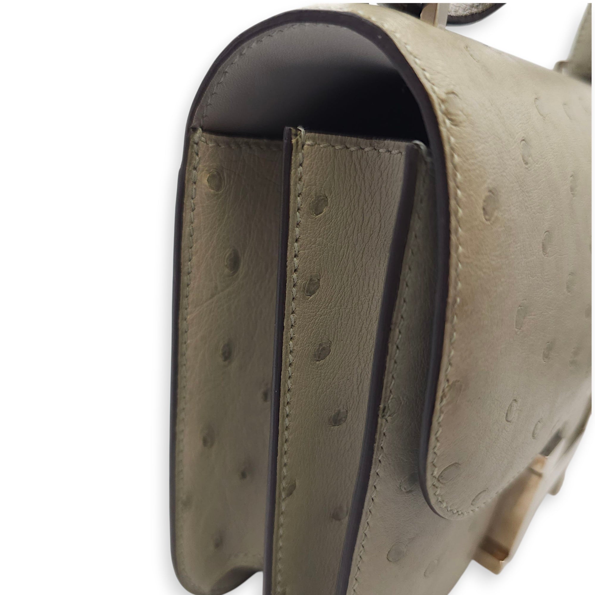 Constance 18 Blue Glacier in Ostrich, Palladium hardware