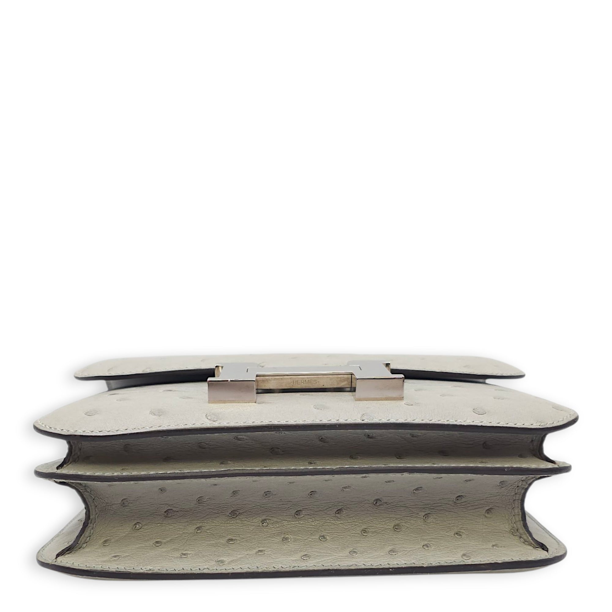 Constance 18 Blue Glacier in Ostrich, Palladium hardware
