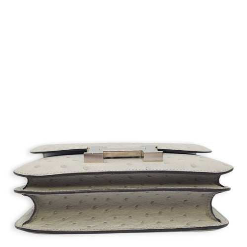 Constance 18 Blue Glacier in Ostrich, Palladium hardware