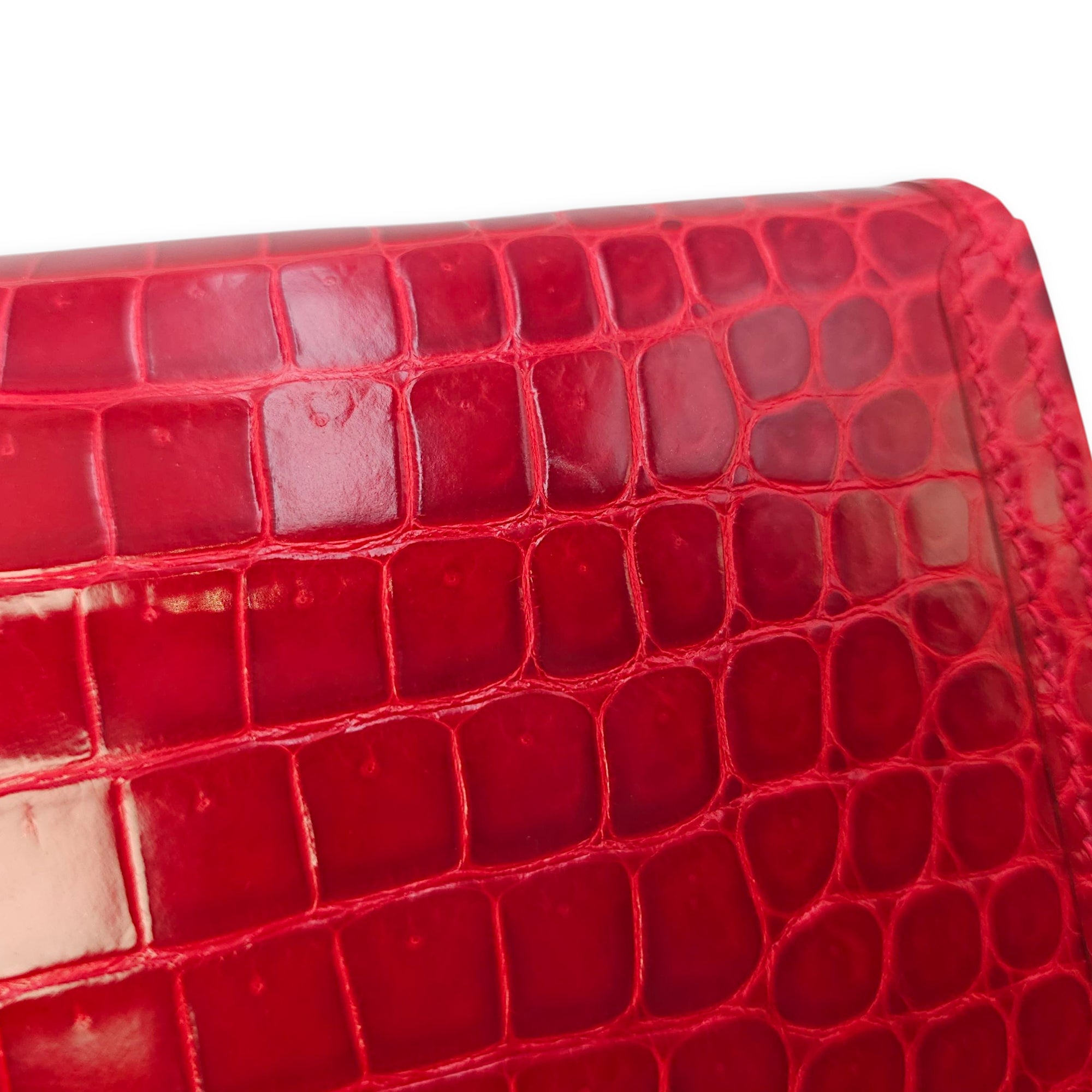 Jige Elan 29 Braise Clutch in Shiny Porosus