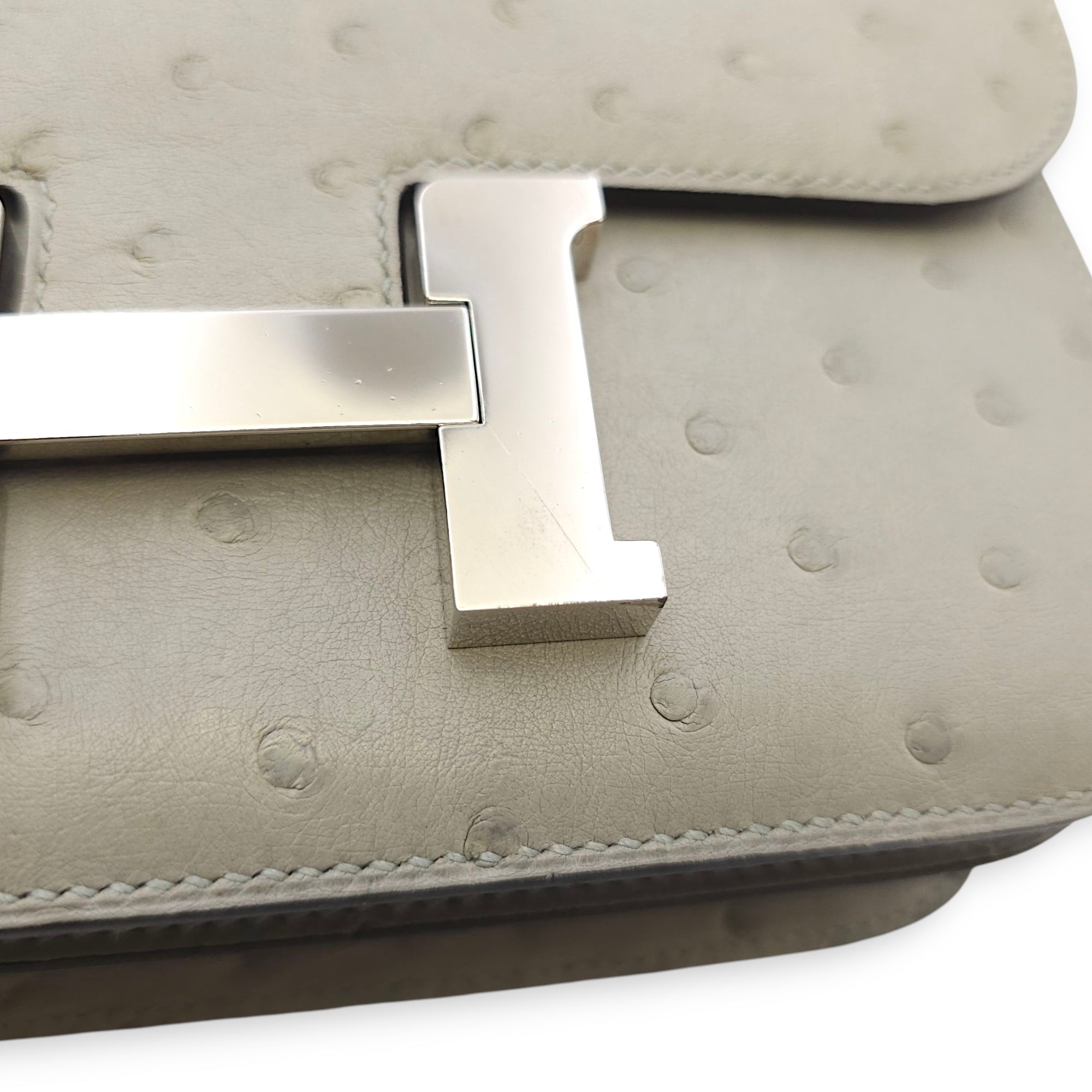 Constance 18 Blue Glacier in Ostrich, Palladium hardware