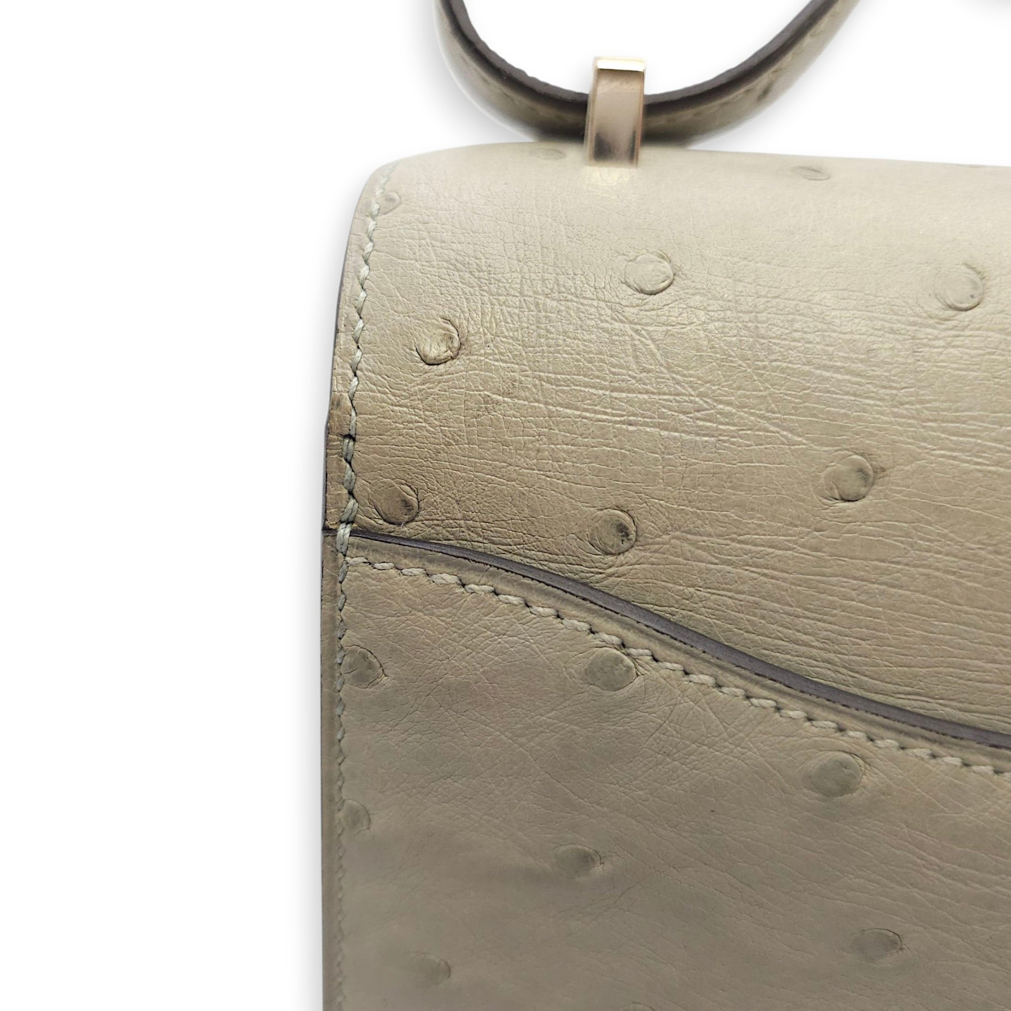 Constance 18 Blue Glacier in Ostrich, Palladium hardware