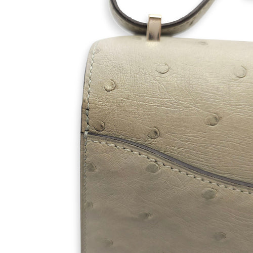Constance 18 Blue Glacier in Ostrich, Palladium hardware