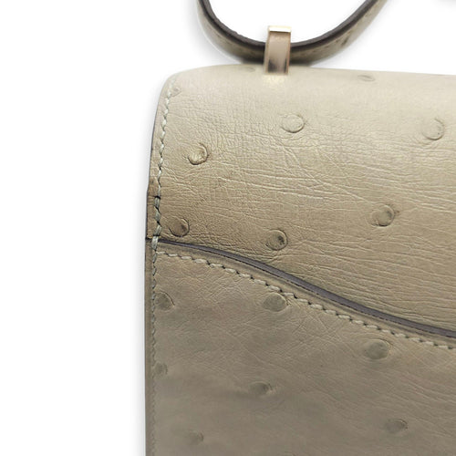 Constance 18 Blue Glacier in Ostrich Palladium hardware CL2510-15981 12