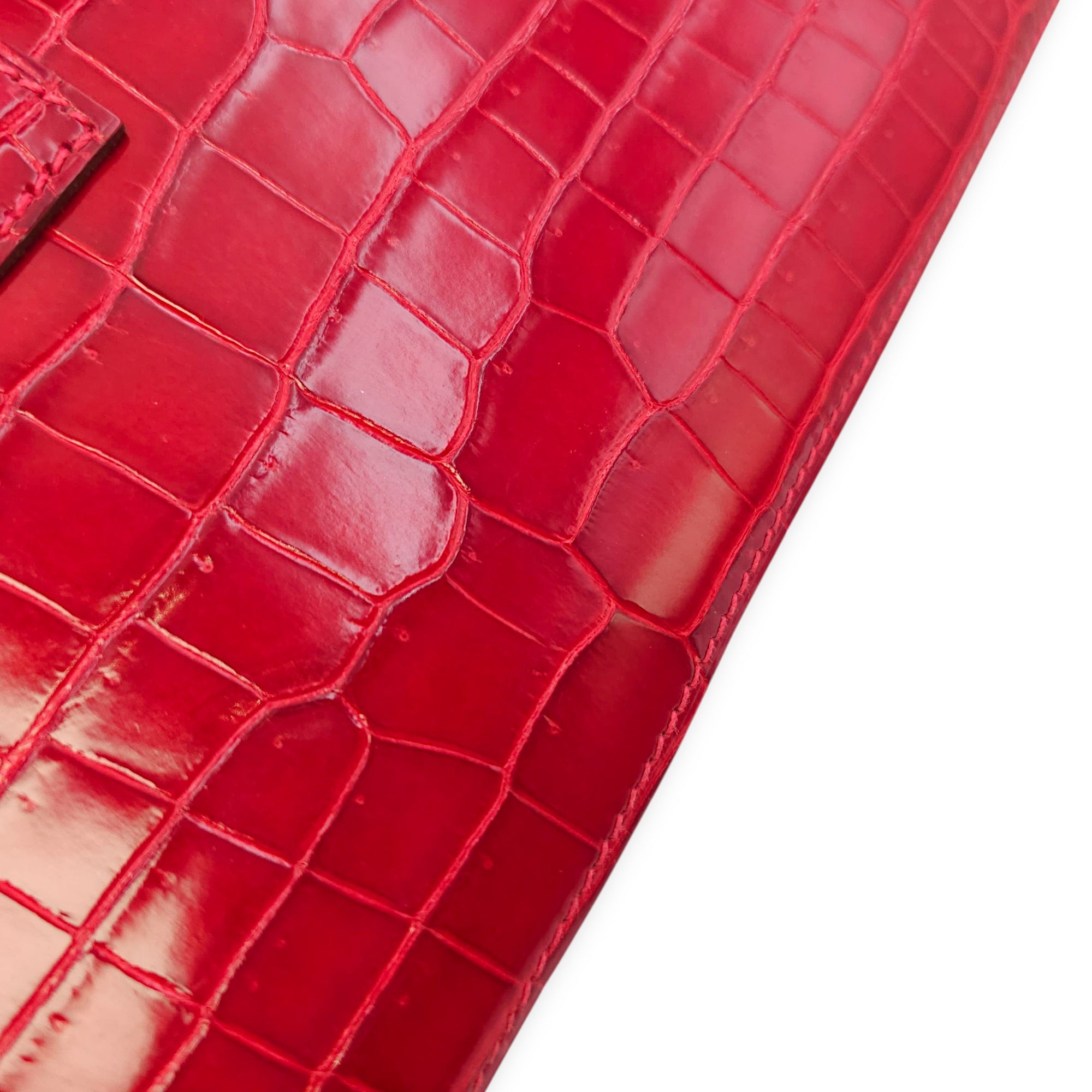 Jige Elan 29 Braise Clutch in Shiny Porosus