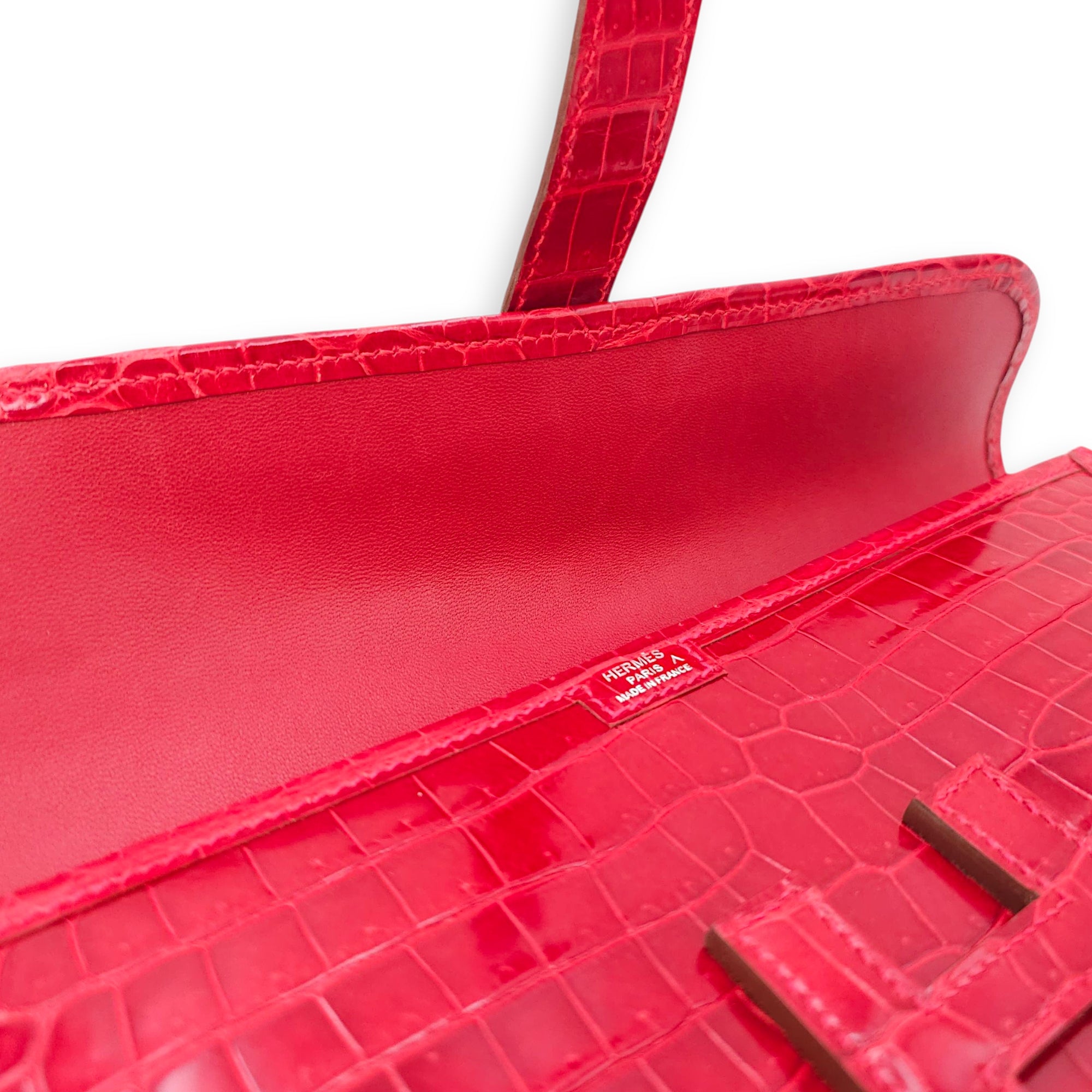 Jige Elan 29 Braise Clutch in Shiny Porosus
