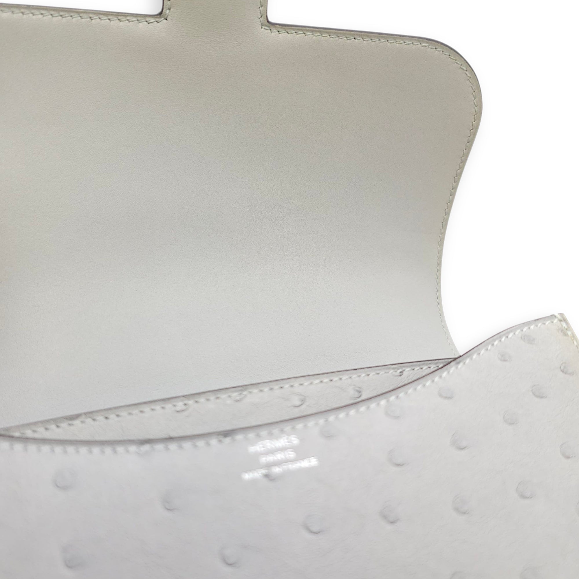 Constance 18 Blue Glacier in Ostrich, Palladium hardware