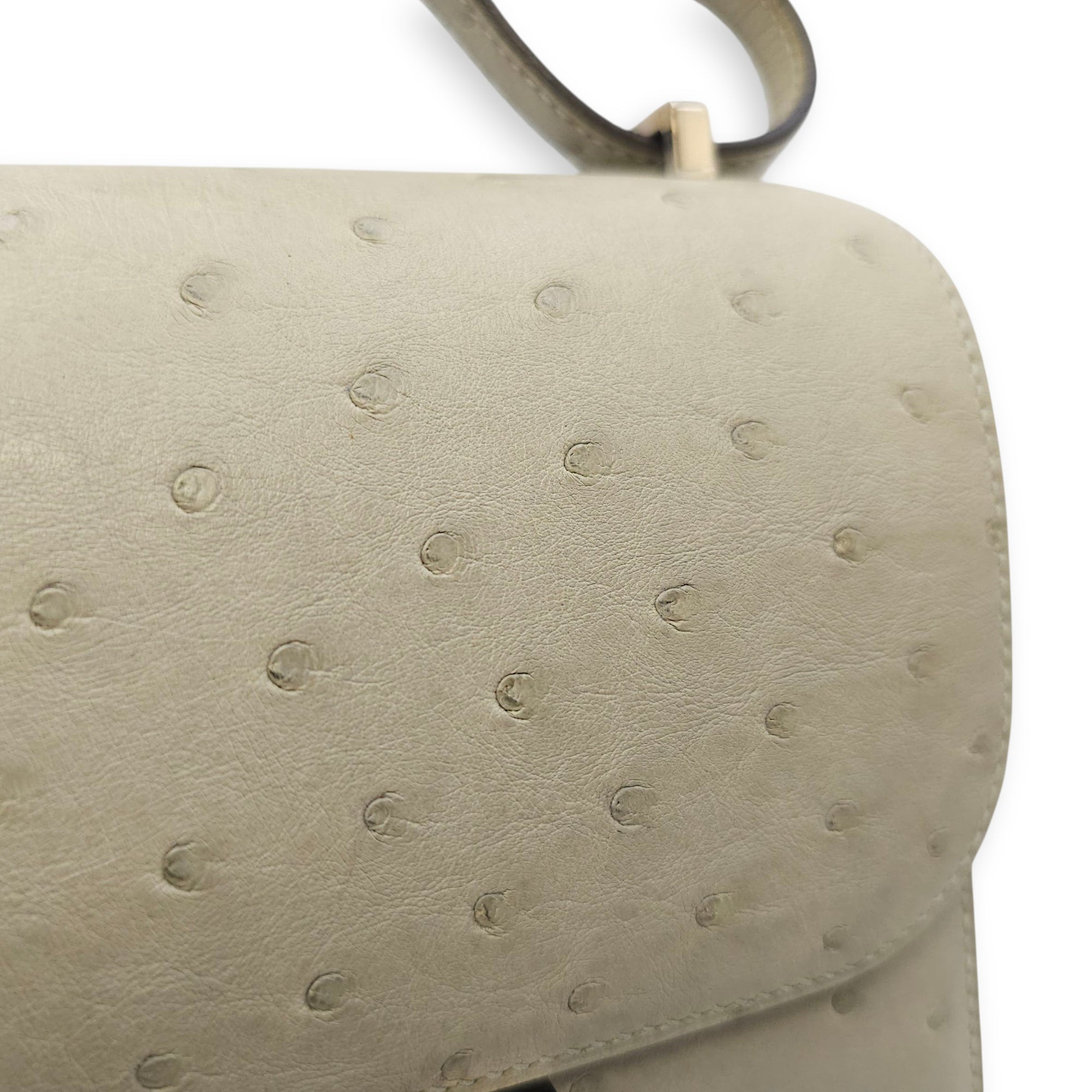 Constance 18 Blue Glacier in Ostrich, Palladium hardware