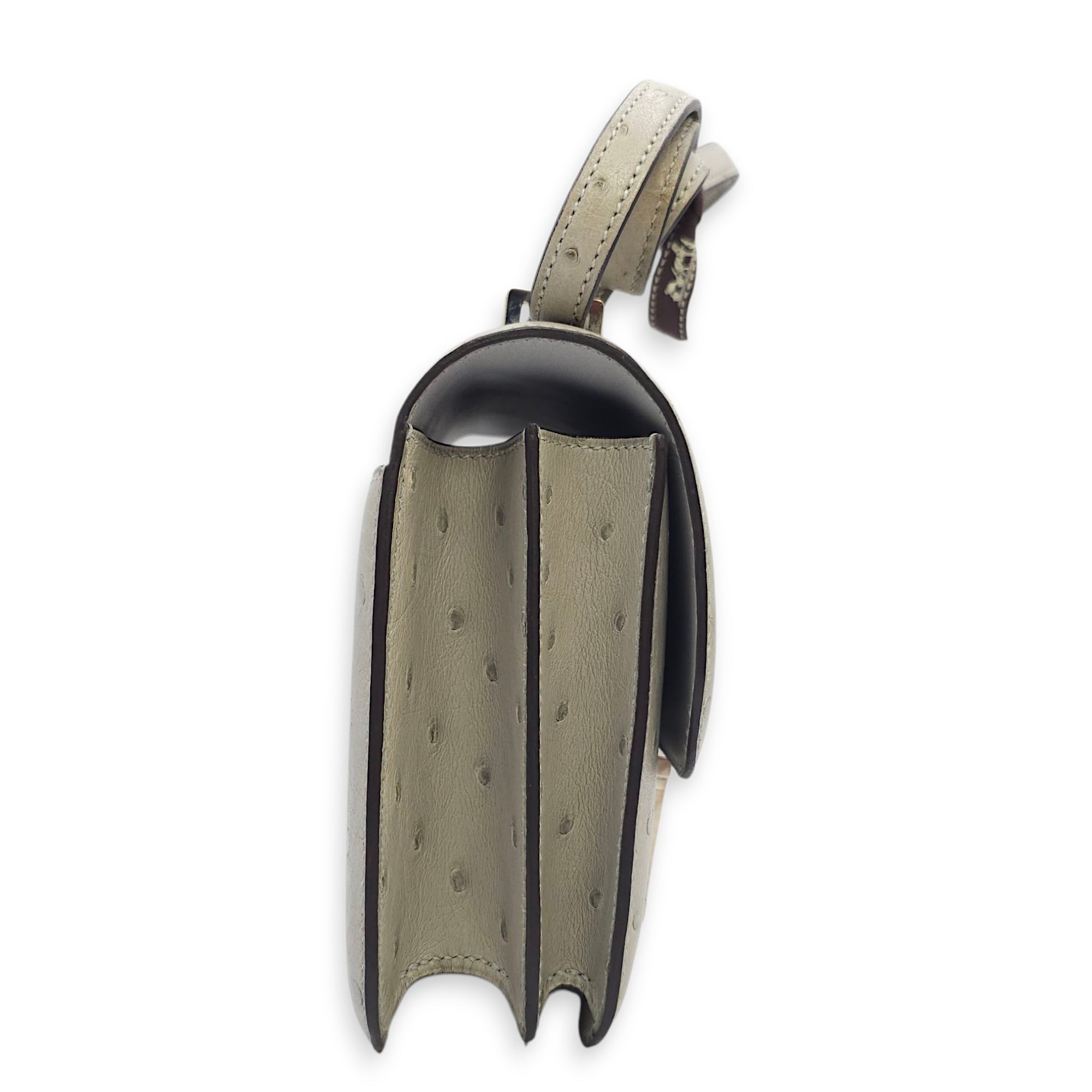 Constance 18 Blue Glacier in Ostrich, Palladium hardware