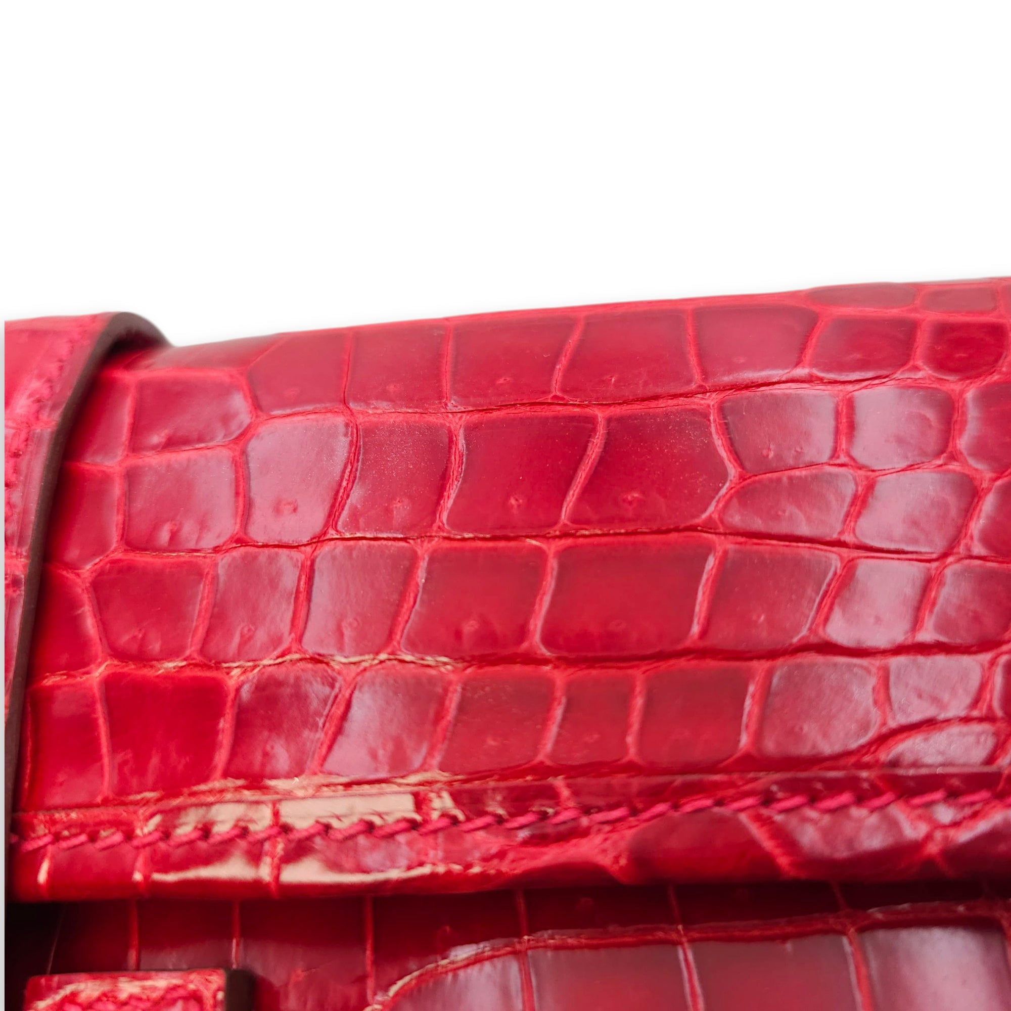 Jige Elan 29 Braise Clutch in Shiny Porosus