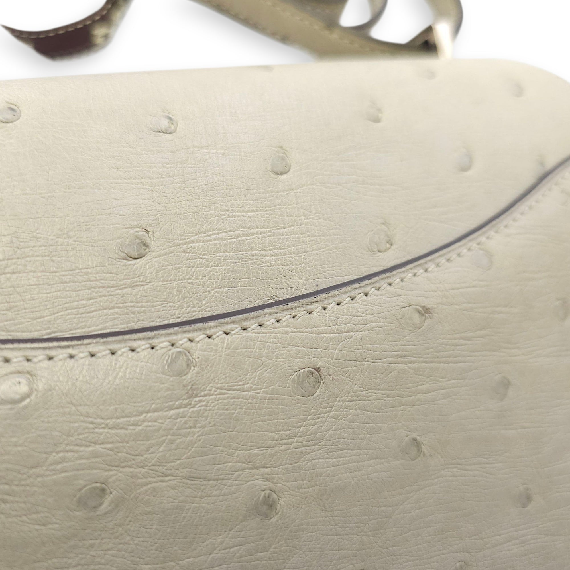 Constance 18 Blue Glacier in Ostrich, Palladium hardware