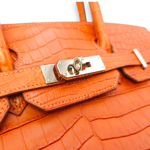 Birkin 30 Sanguine in Matte Niloticus, Palladium hardware