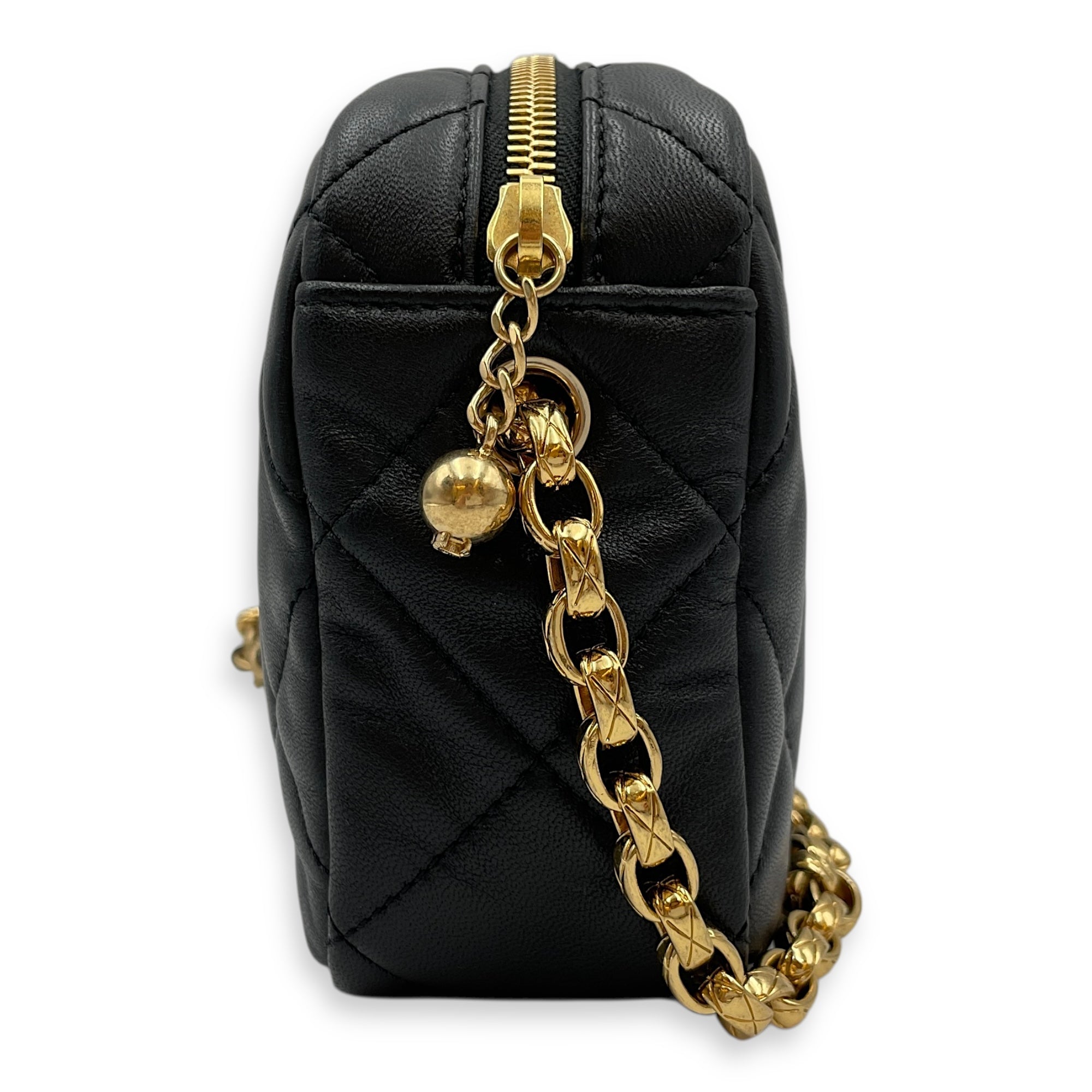 Camera Black Crossbody Bag in Lambskin, Gold hardware