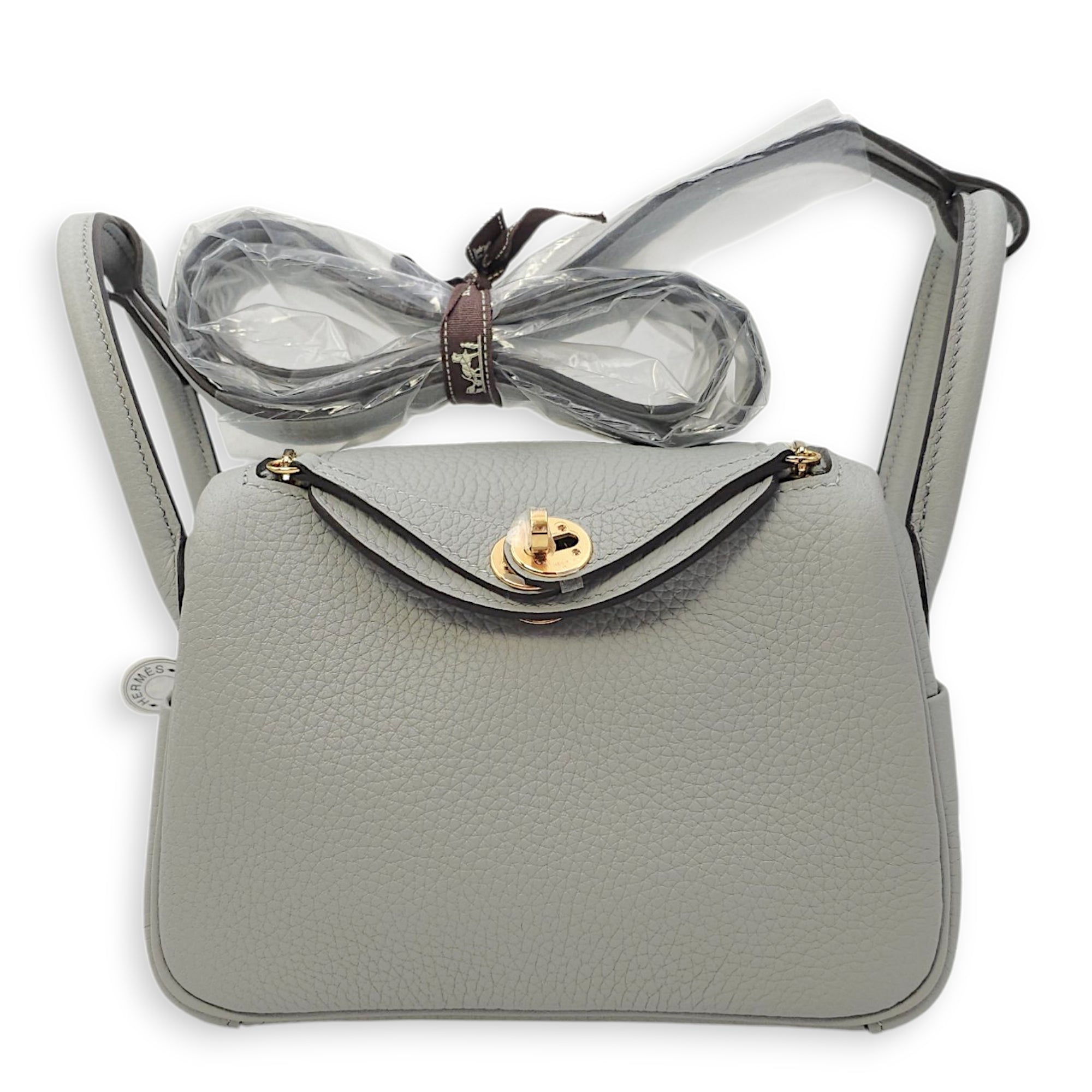 Lindy II Mini Blue Glacier in Clemence, Gold hardware
