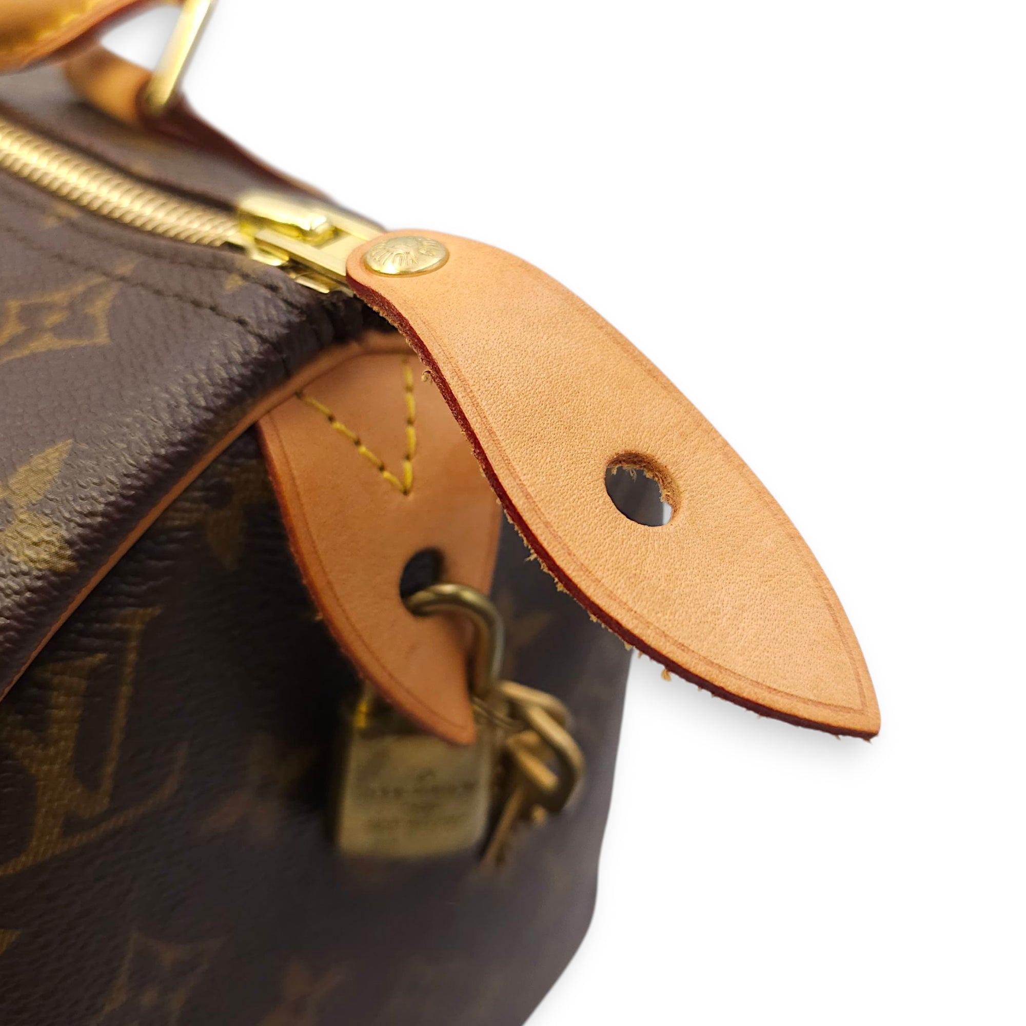 Speedy Hibiscus Print 30cm Brown Monogram Top Handle Bag in Canvas, Gold hardware