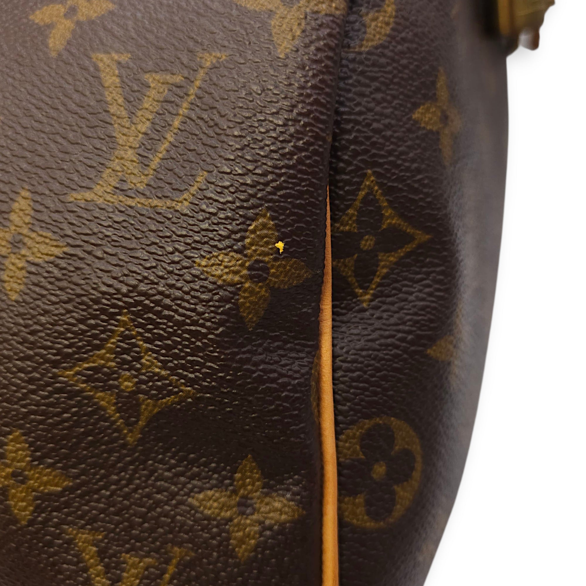 Speedy Hibiscus Print 30cm Brown Monogram Top Handle Bag in Canvas, Gold hardware