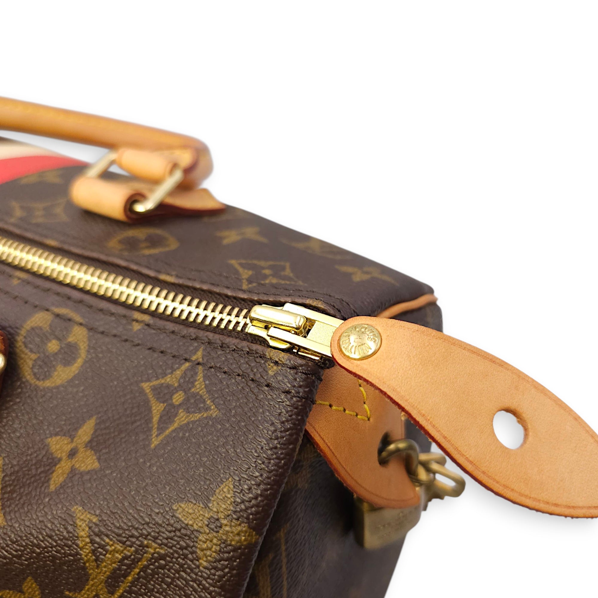 Speedy Hibiscus Print 30cm Brown Monogram Top Handle Bag in Canvas, Gold hardware