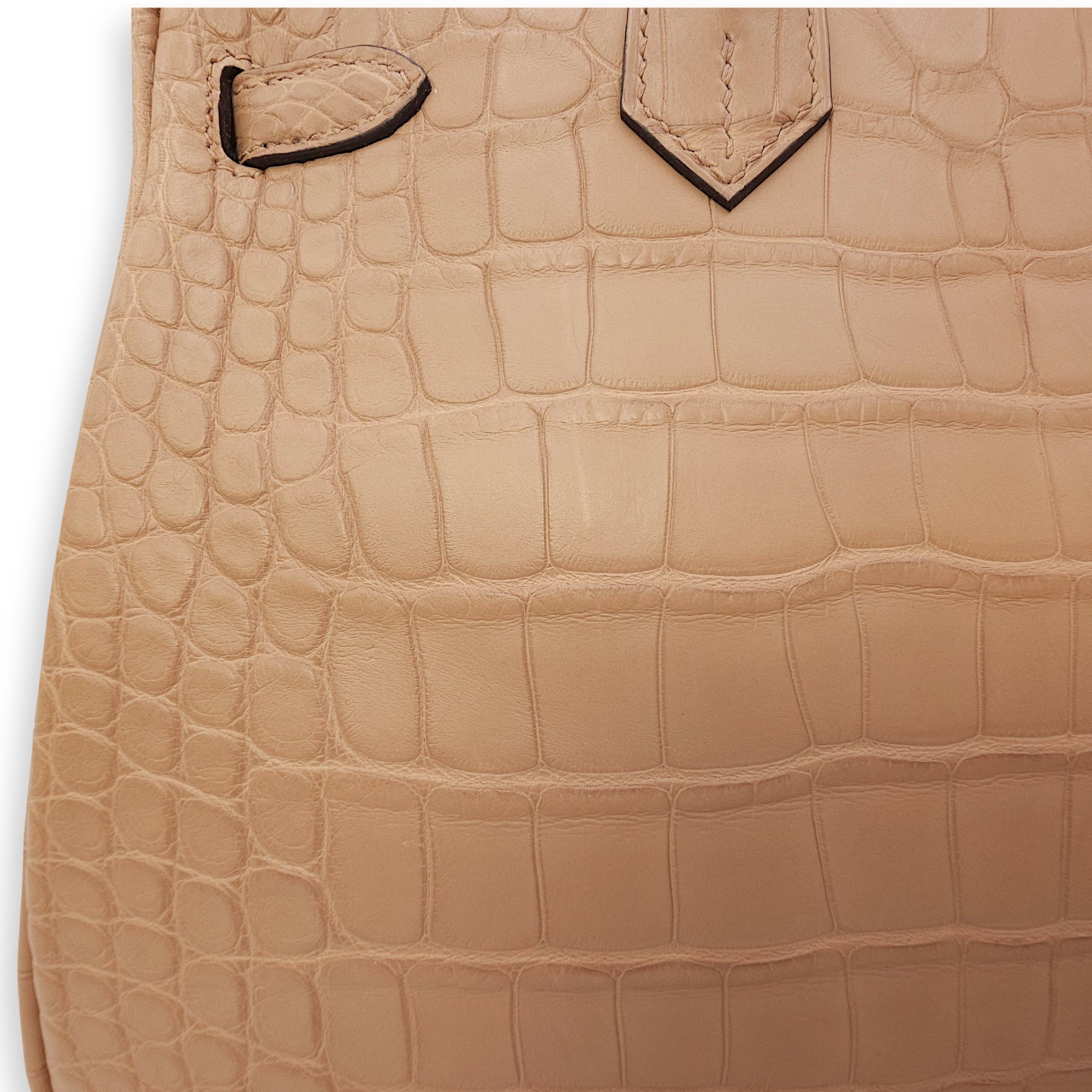 Birkin 25 Chai in Matte Alligator, Gold hardware