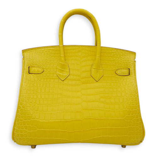 Birkin 25 Mimosa in Matte Porosus, Gold hardware