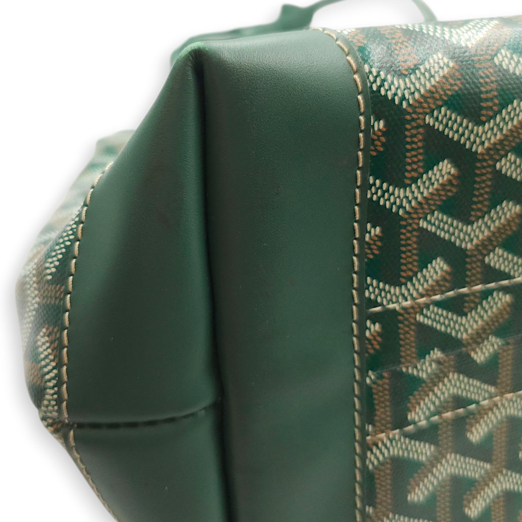 Goyardine Bellechasse PM Green Tote Bag in Canvas, Silver hardware