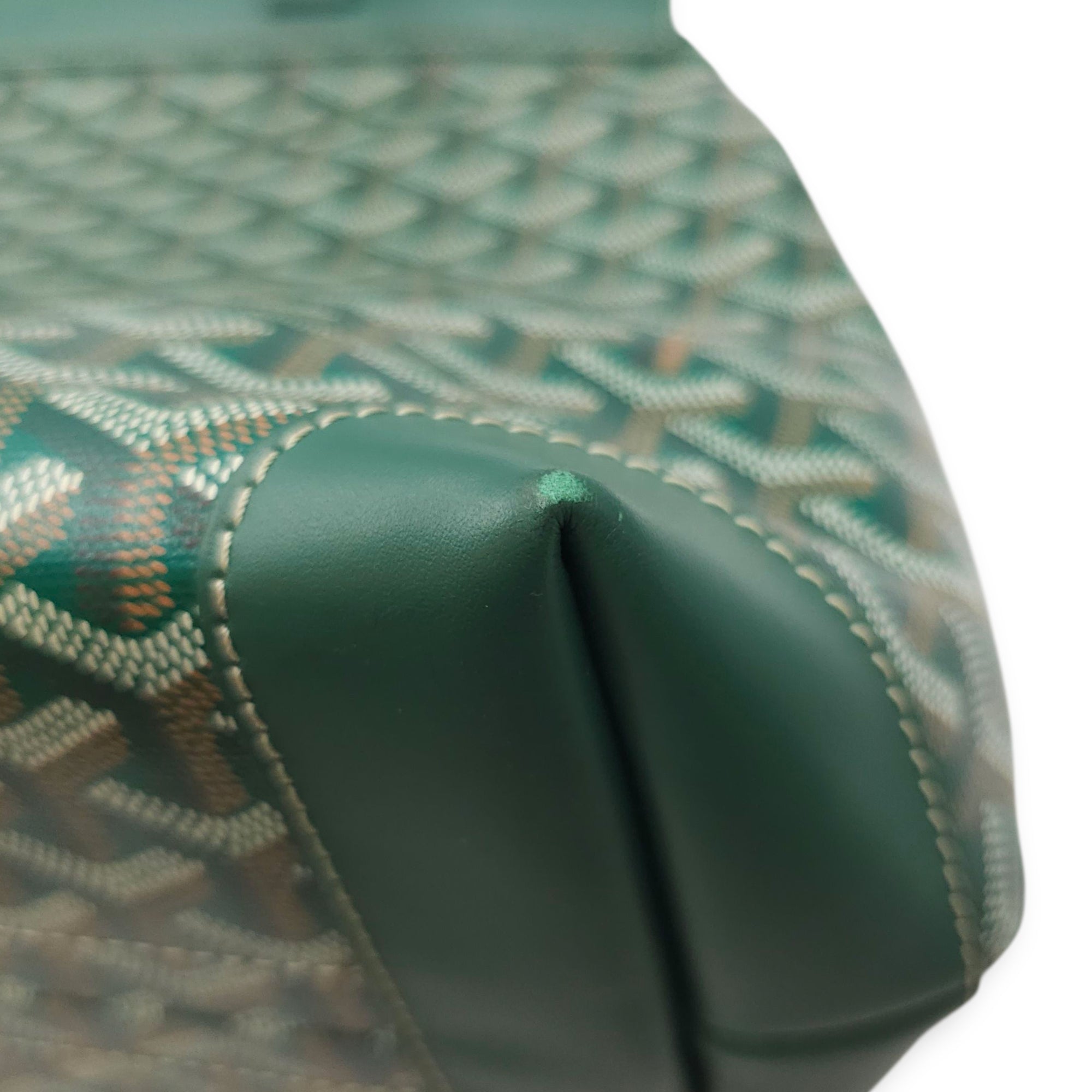 Goyardine Bellechasse PM Green Tote Bag in Canvas, Silver hardware