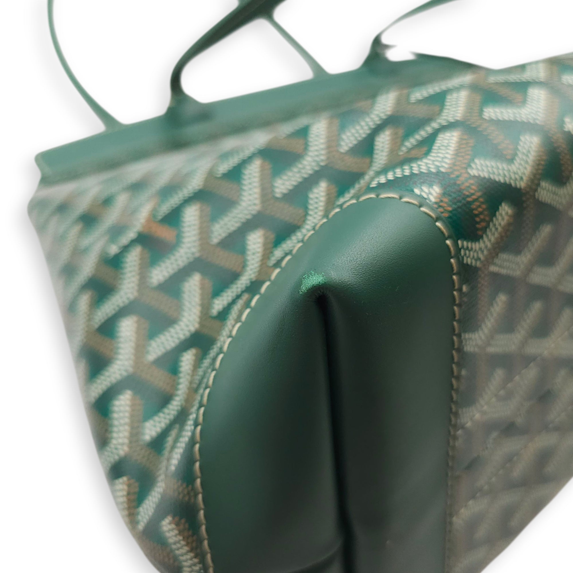 Goyardine Bellechasse PM Green Tote Bag in Canvas, Silver hardware