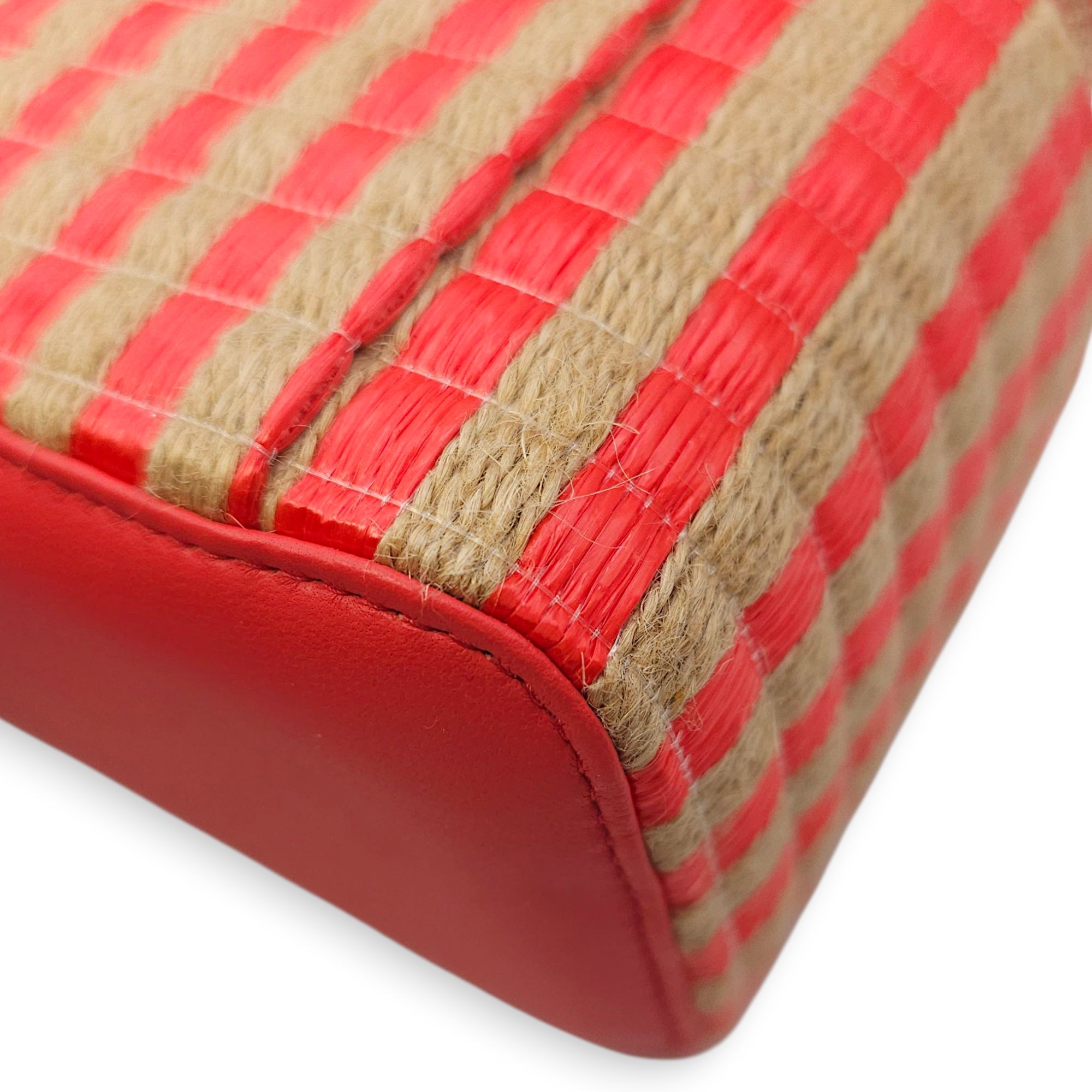 CC Multi-Color Vanity Bag in Raffia, Gold hardware