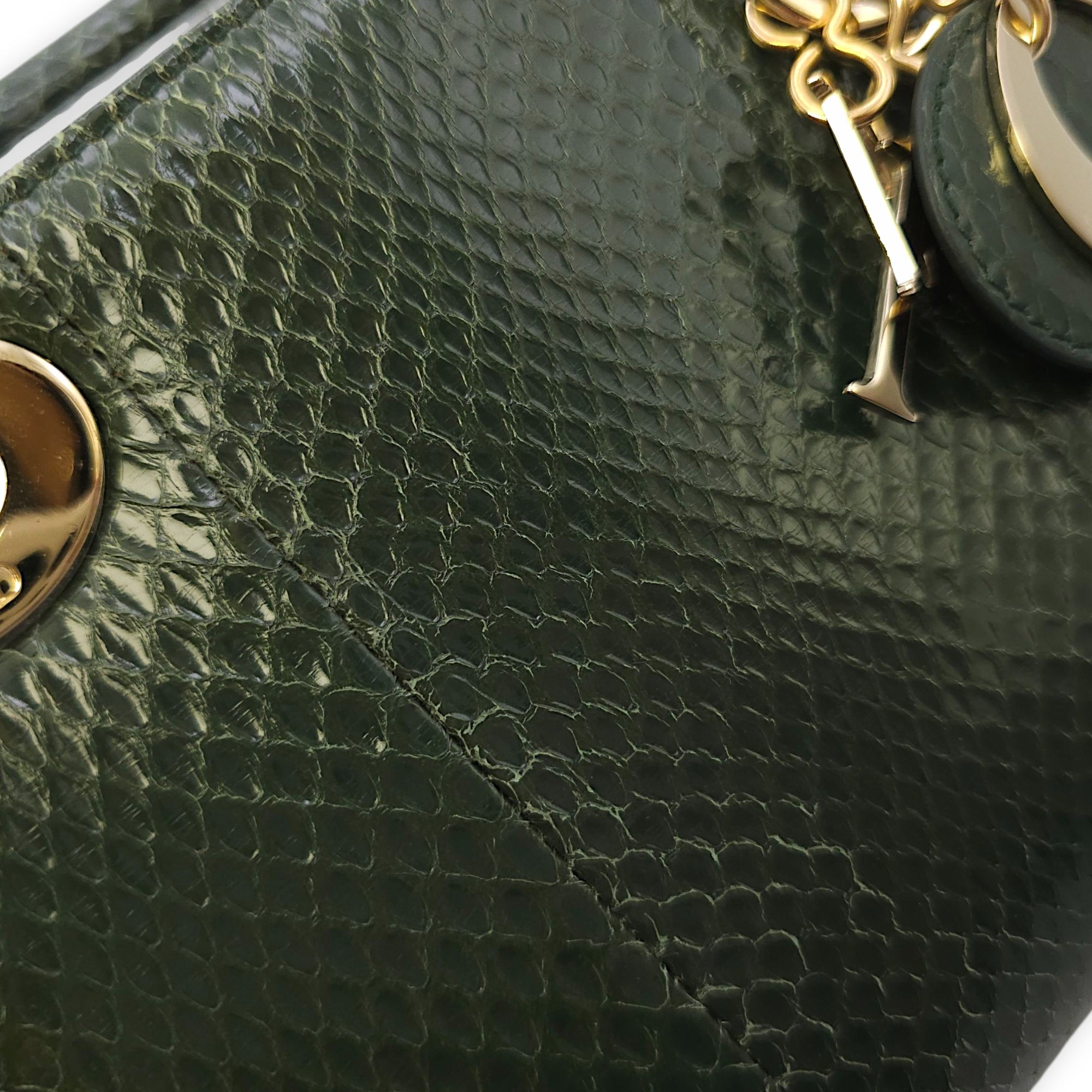 Lady Dior Mini Green Crossbody Bag in Python, Gold hardware